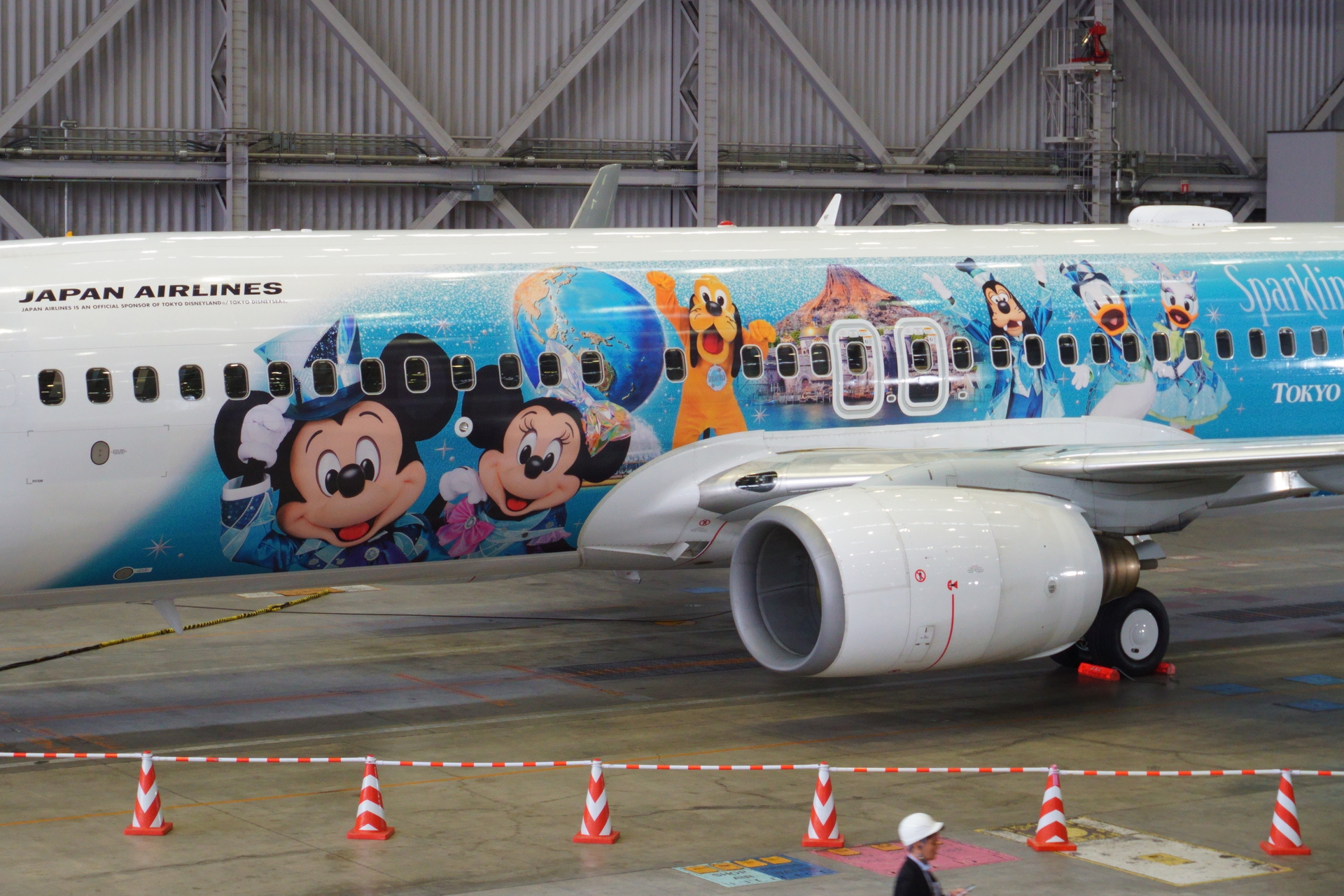 使用機材はボーイング 737-800型機（登録記号：JA339J）