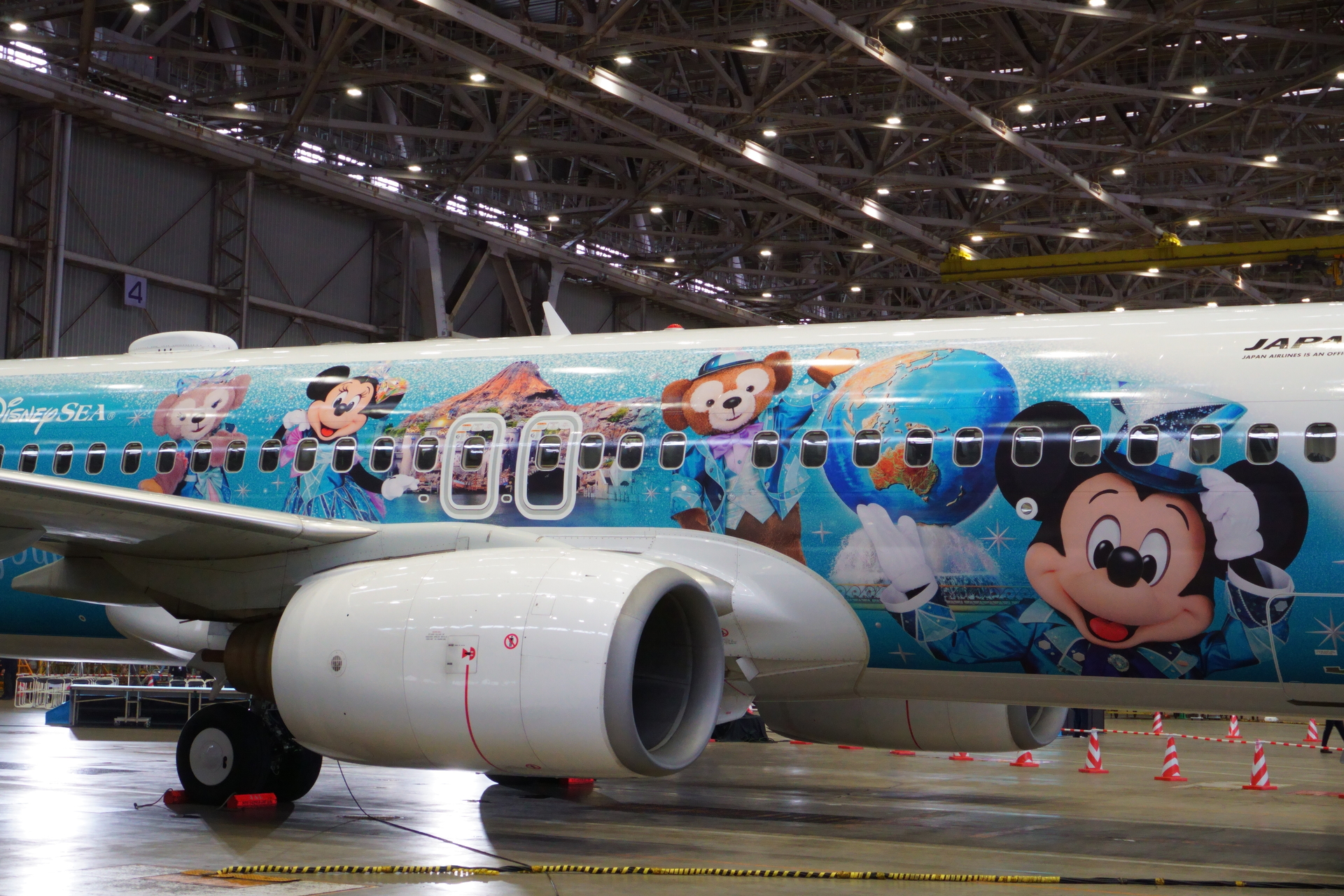 使用機材はボーイング 737-800型機（登録記号：JA339J）