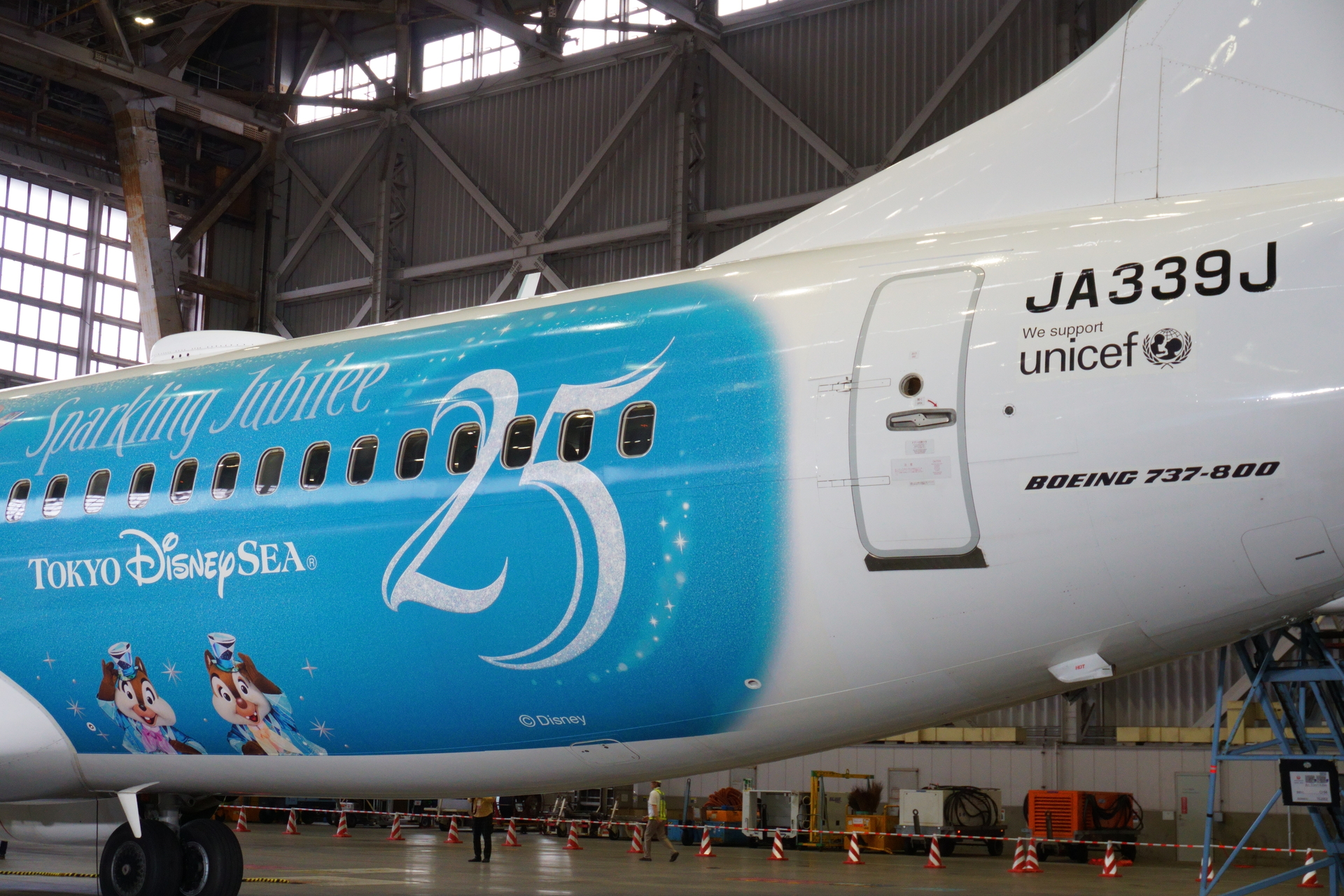 使用機材はボーイング 737-800型機（登録記号：JA339J）