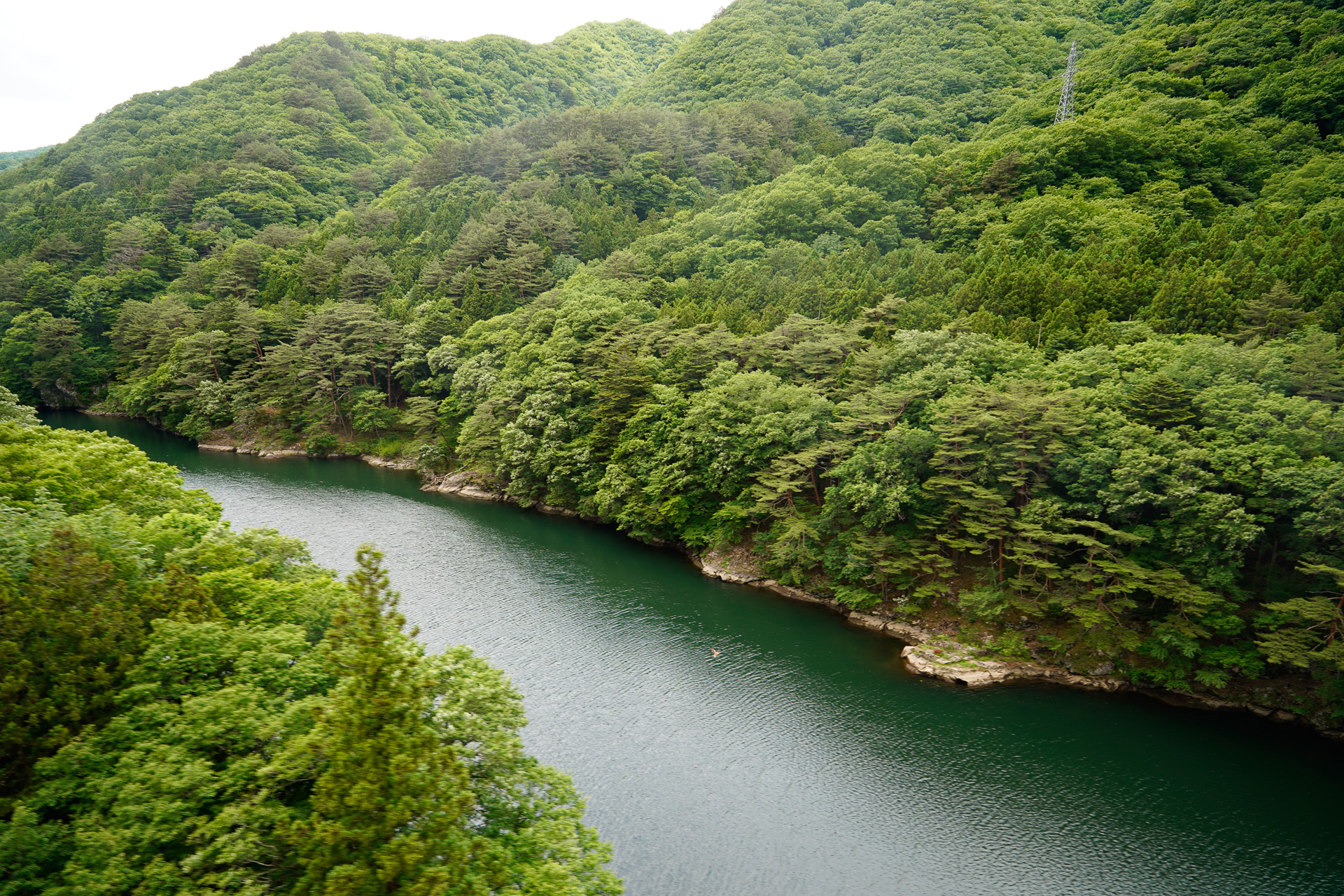 山間部を走る鉄道ではよくあることだが、車窓に河川が現われる場面もある