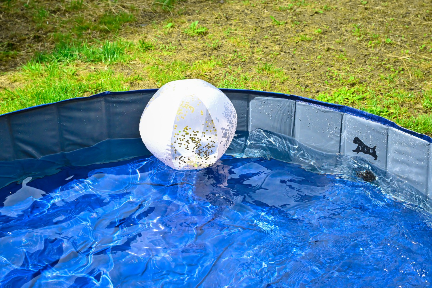 愛犬と水遊びを楽しめる専用プール設置