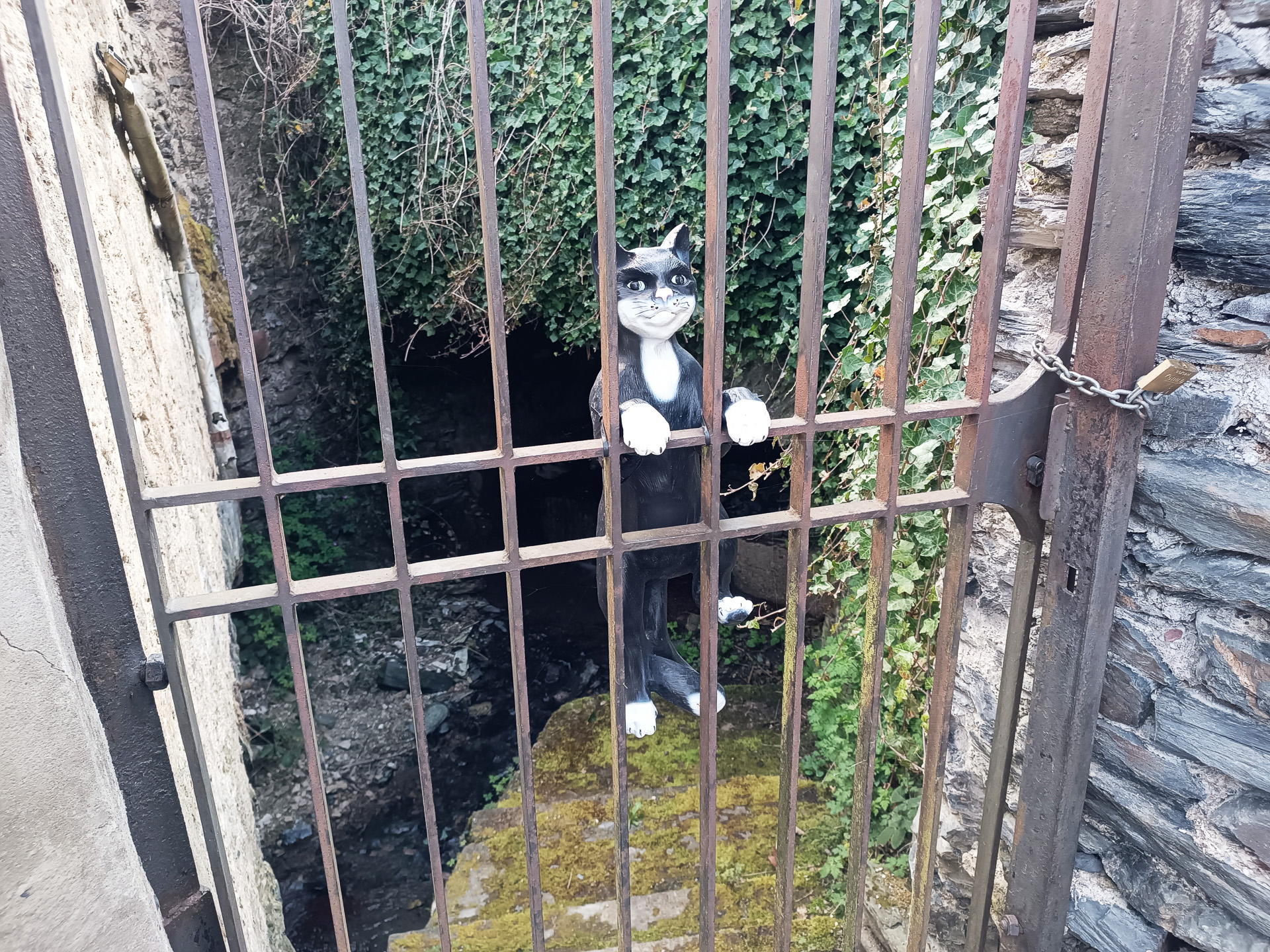 道にあるオブジェや、窓や壁などがとてもかわいい