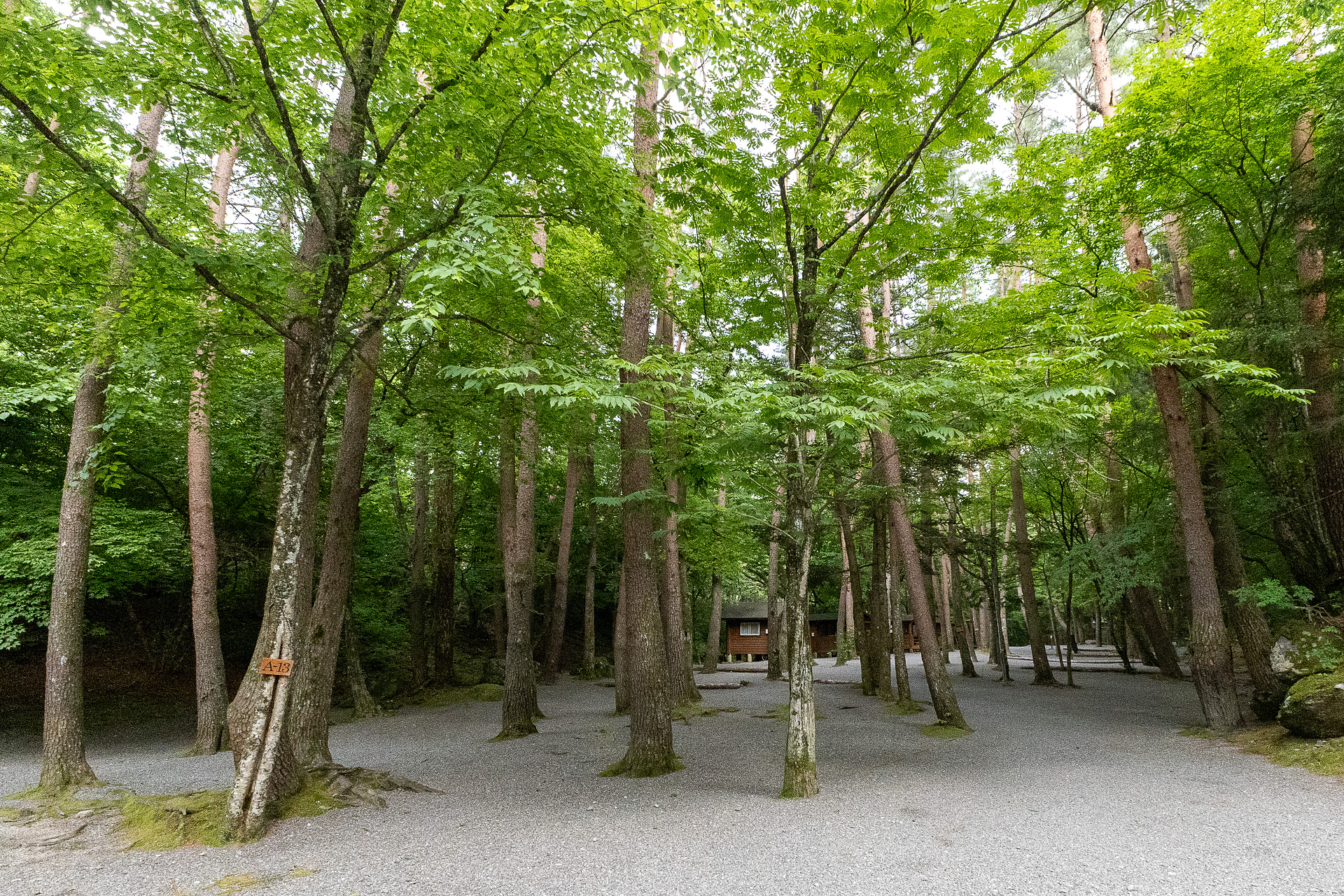 山あいのキャンプ場なので、木陰の多い林間サイトだ。日差しがきつくなるこれからの季節では過ごしやすそうな環境