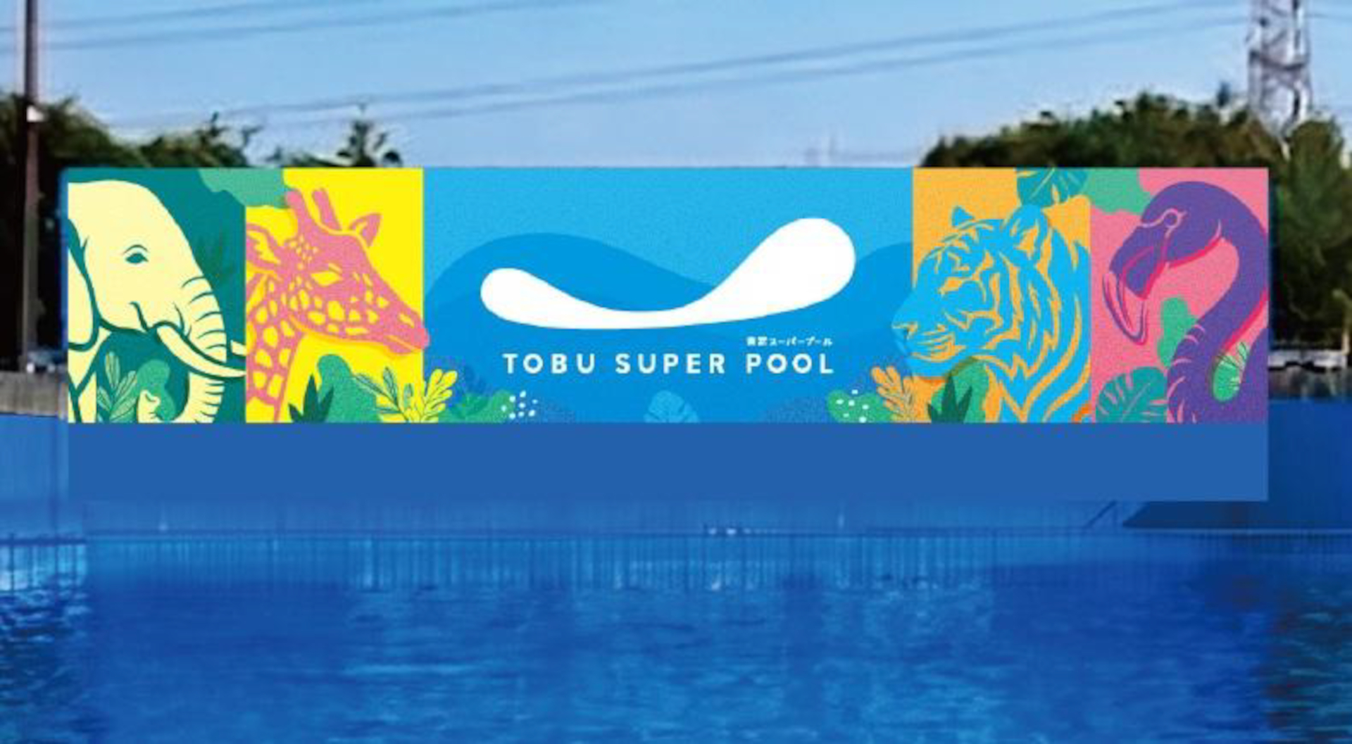 園内プールを36年ぶりに大規模改修。家族や仲間と思い切り水遊びができる“サファリ”の世界観に一新