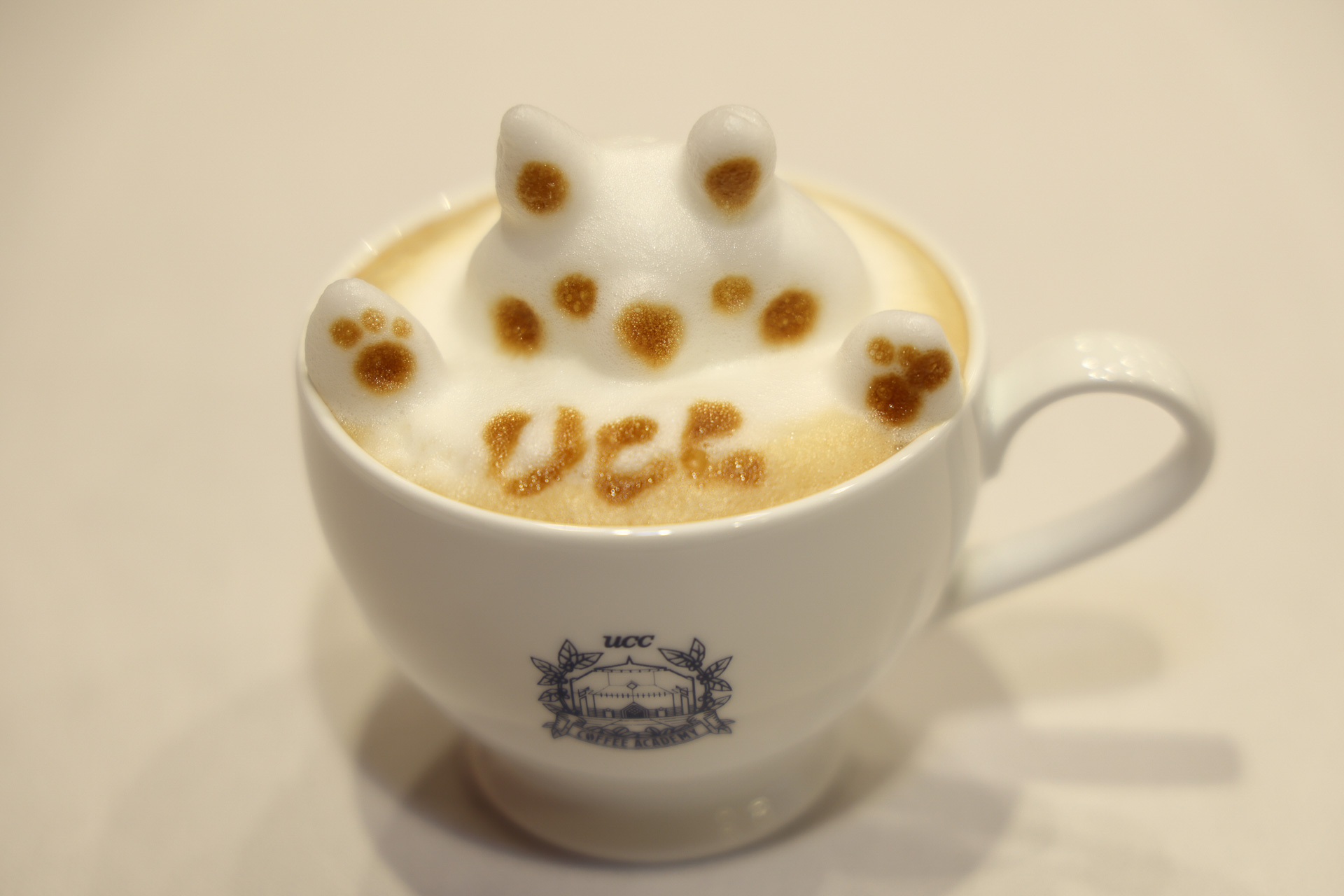 水川先生のお手本。ちなみに筆者もマネしてみたが、溶けかけた雪だるまのようになってしまったので写真は撮らなかった。牛乳を泡立てる器具さえあれば家庭でもチャレンジできるのでしっかり学ぼう