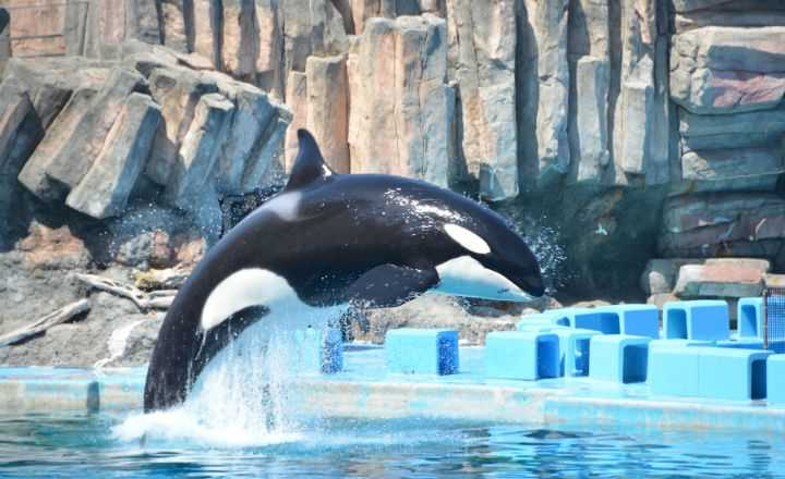 愛知「名古屋港水族館」