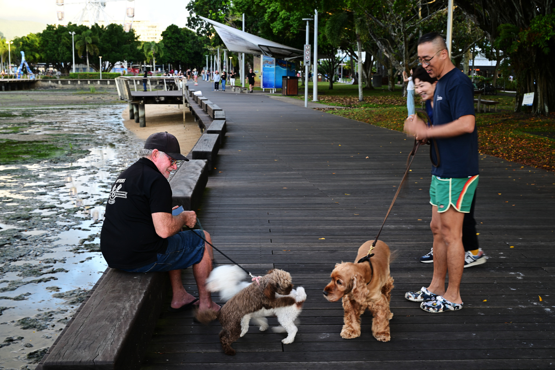 犬を連れて散歩する地元の人たち。観光地でありながら、日常の時間も同じ場所にある