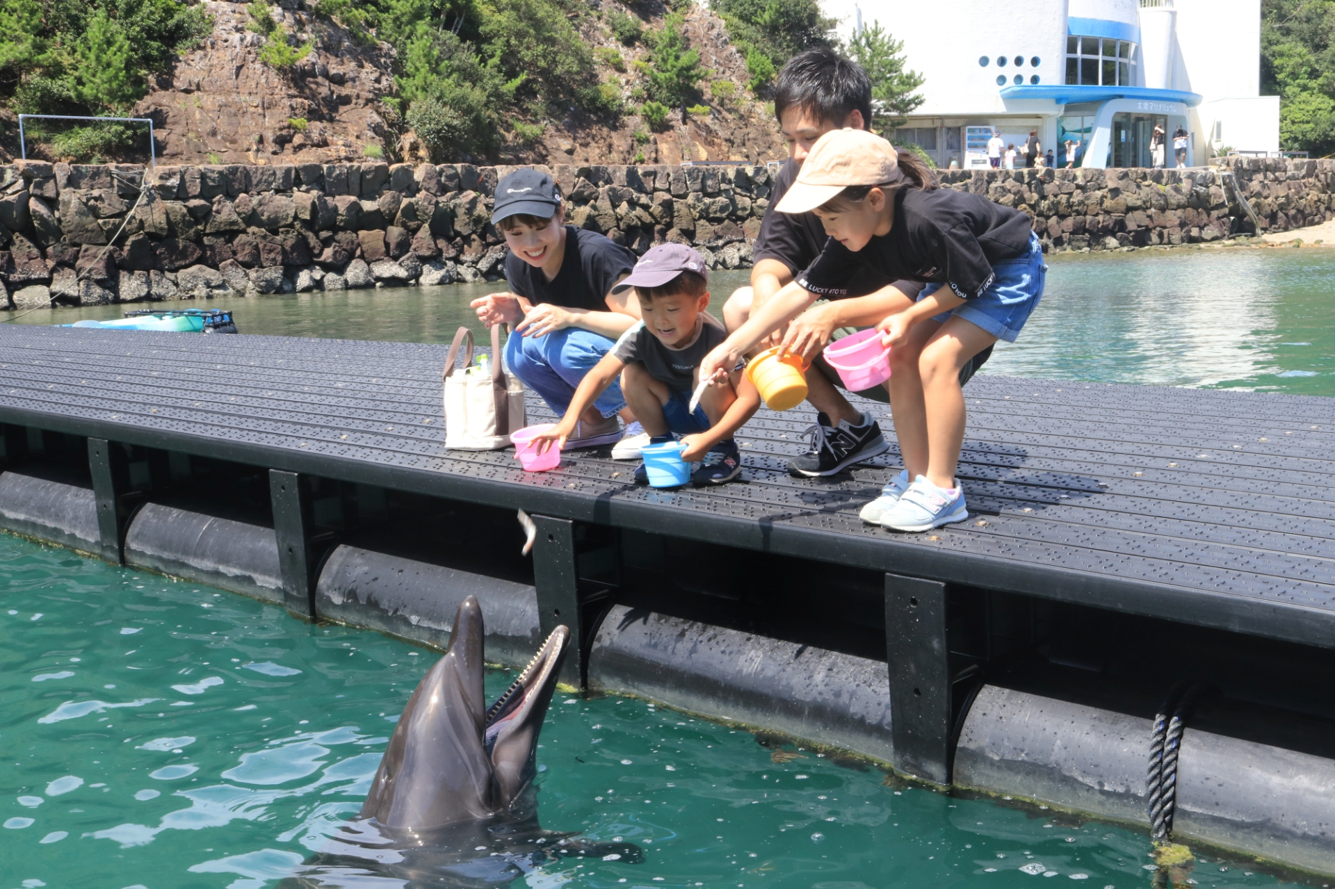 「太地町立くじらの博物館」アクティビティでは、クジラやイルカに餌あげ体験