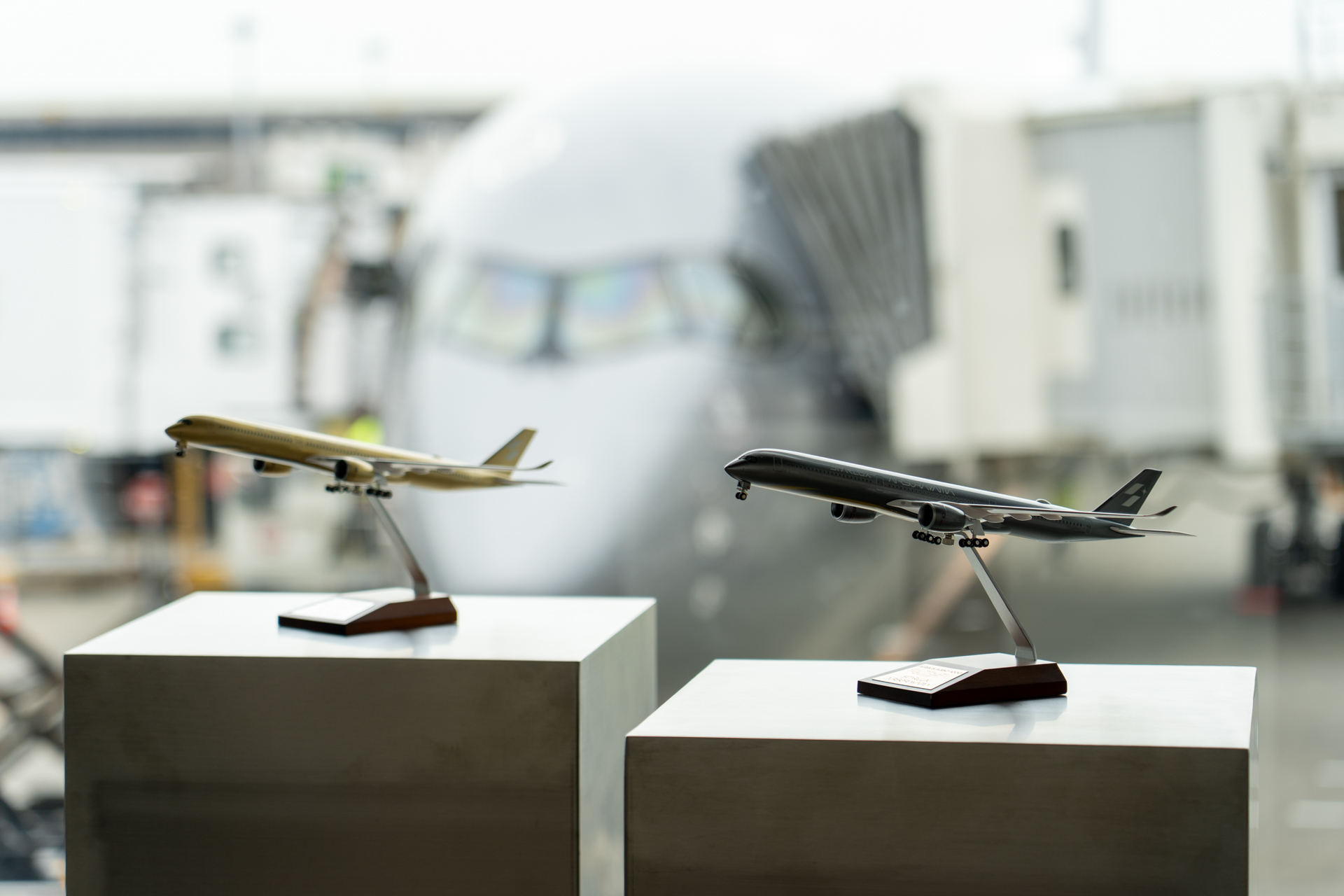 向かって左が今後登場予定のゴールド機、右が本日就航したシルバー機のモデルプレーン