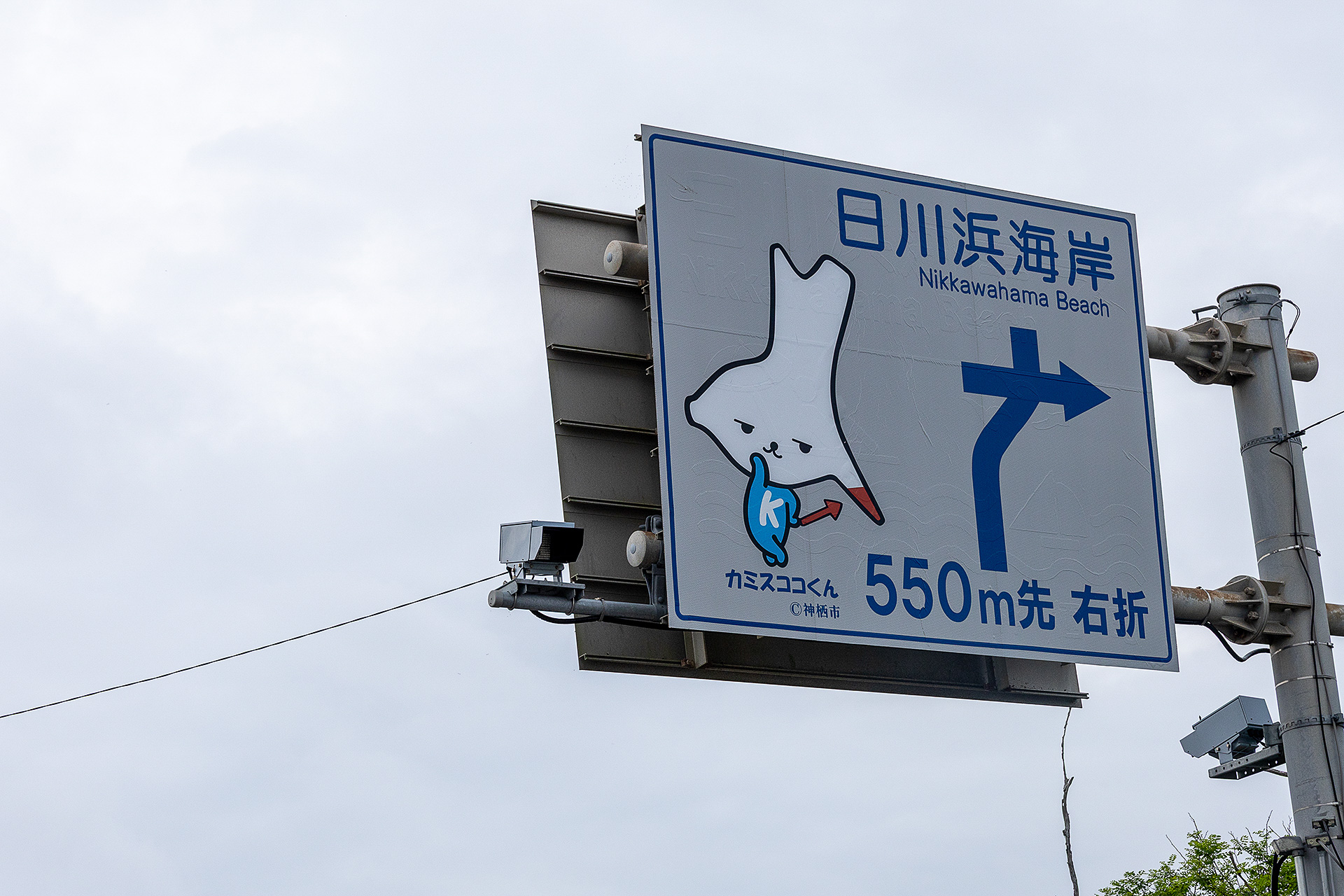海水浴場としての日川浜海岸は、施設から550mほどのところになる