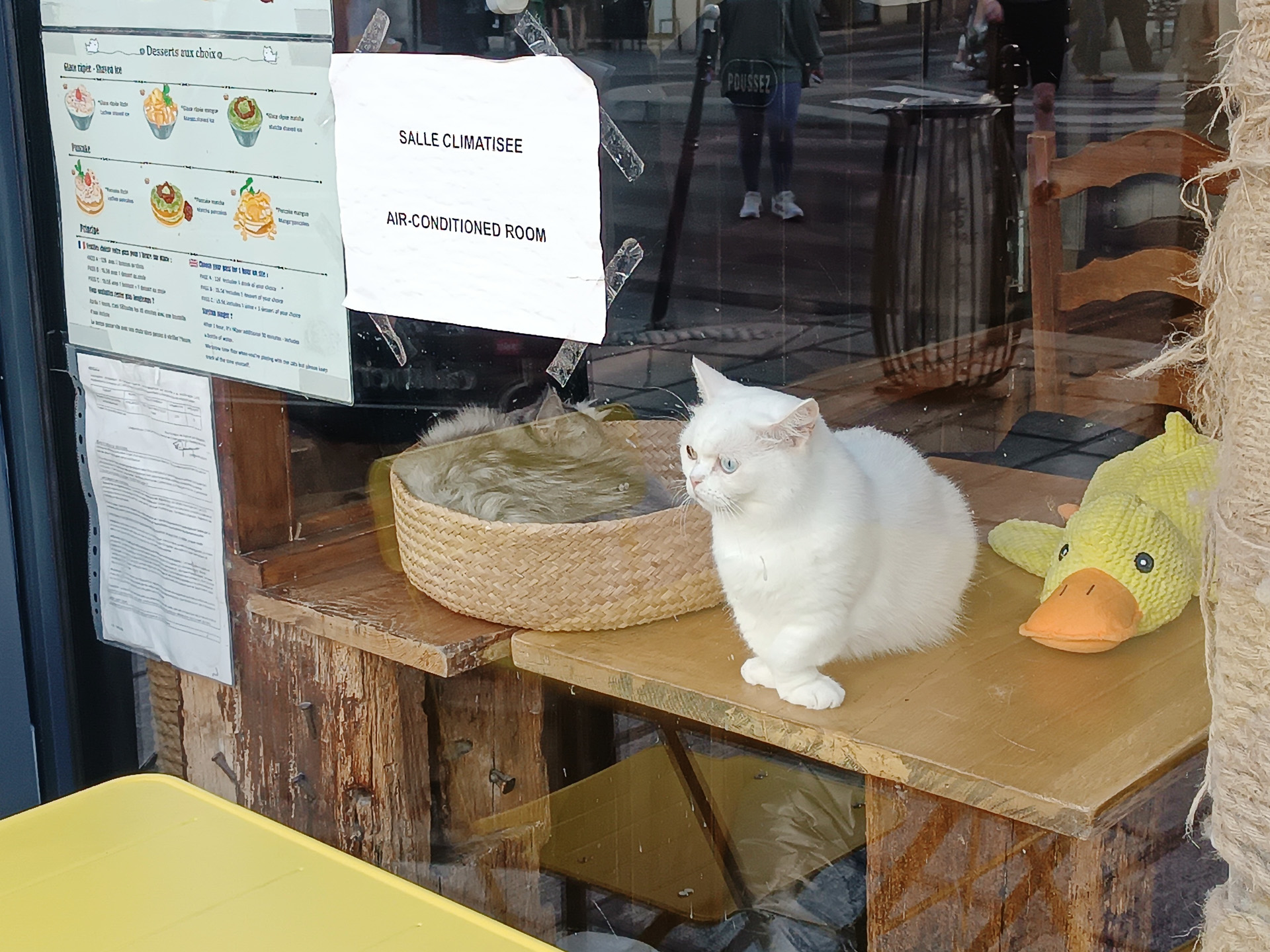猫カフェには冷房完備という張り紙が。飲食店でこういう張り紙をしているところは結構あります