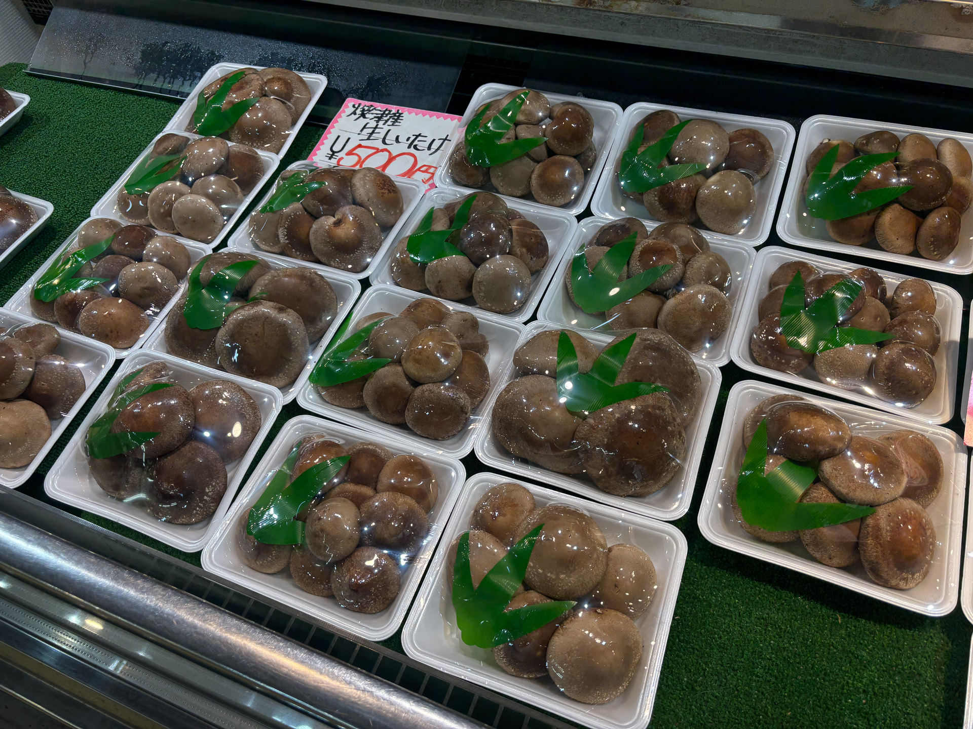 美味しそうな椎茸