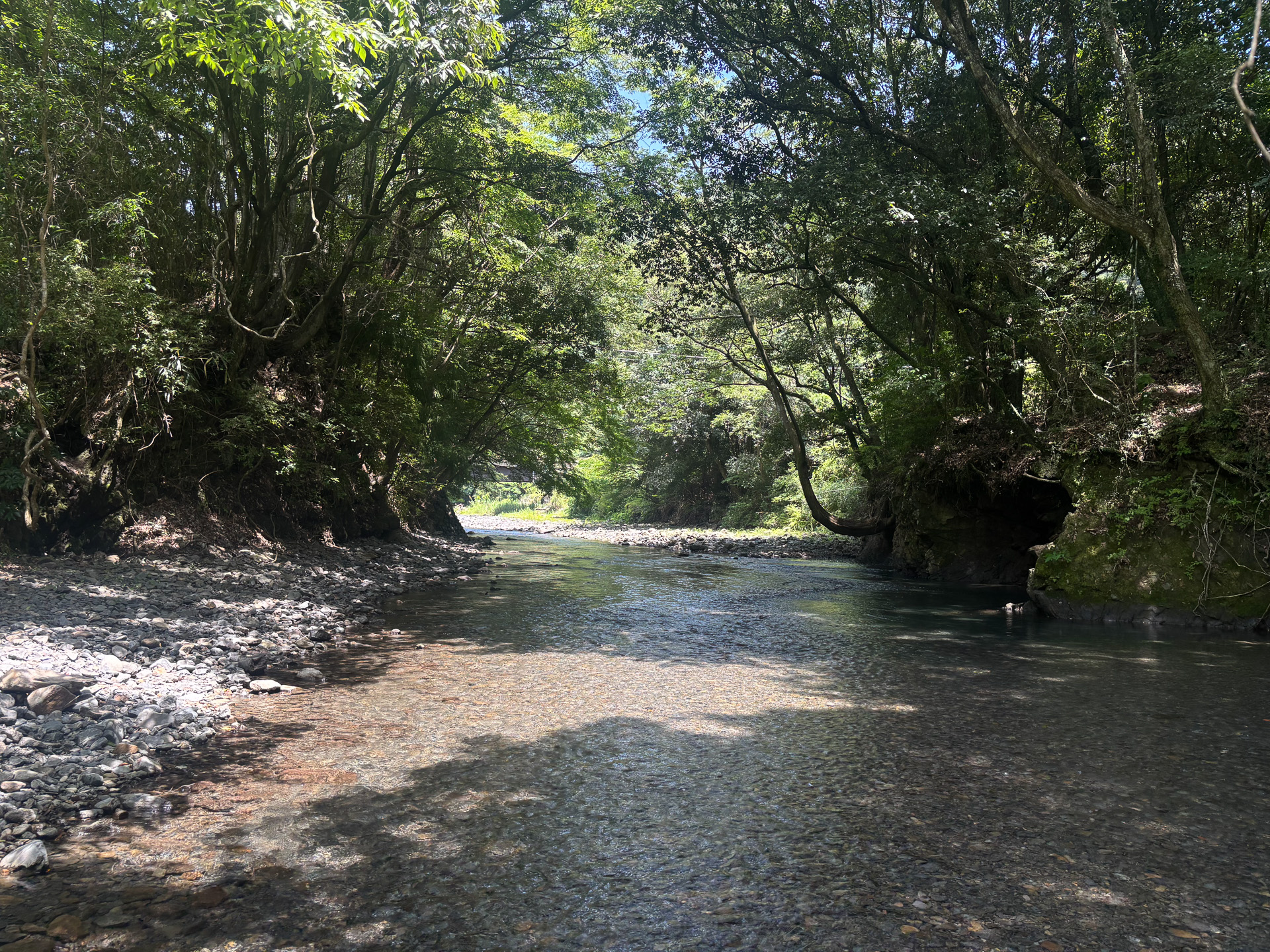 初めての夏キャンプ、大自然に癒されました