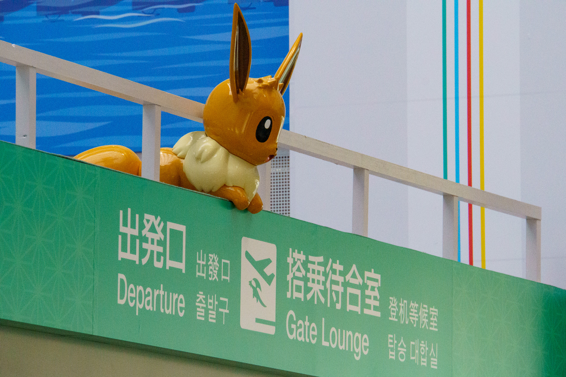 上から見てもかわいい