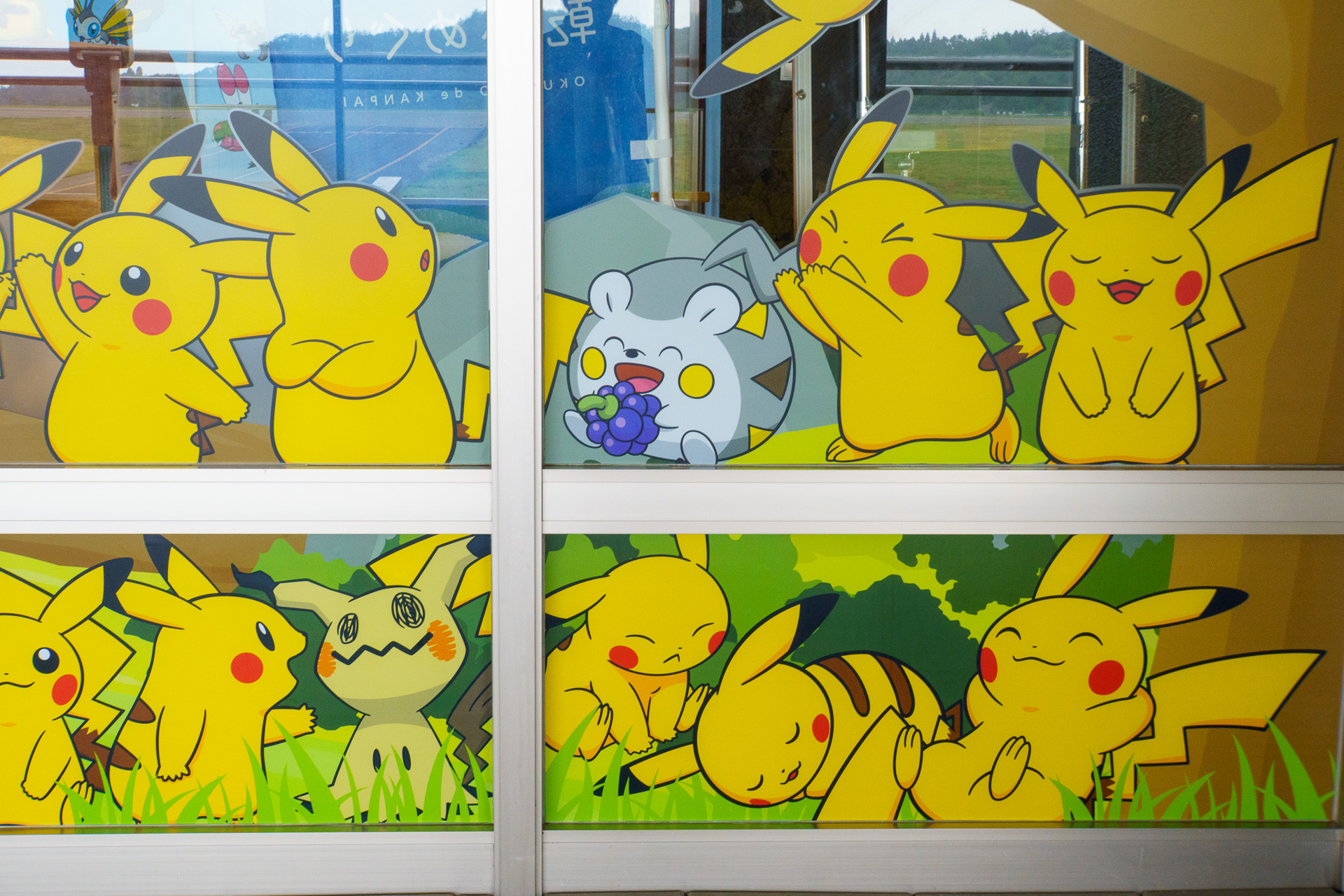 ピカチュウ以外のポケモンも紛れ込んでいるようだ