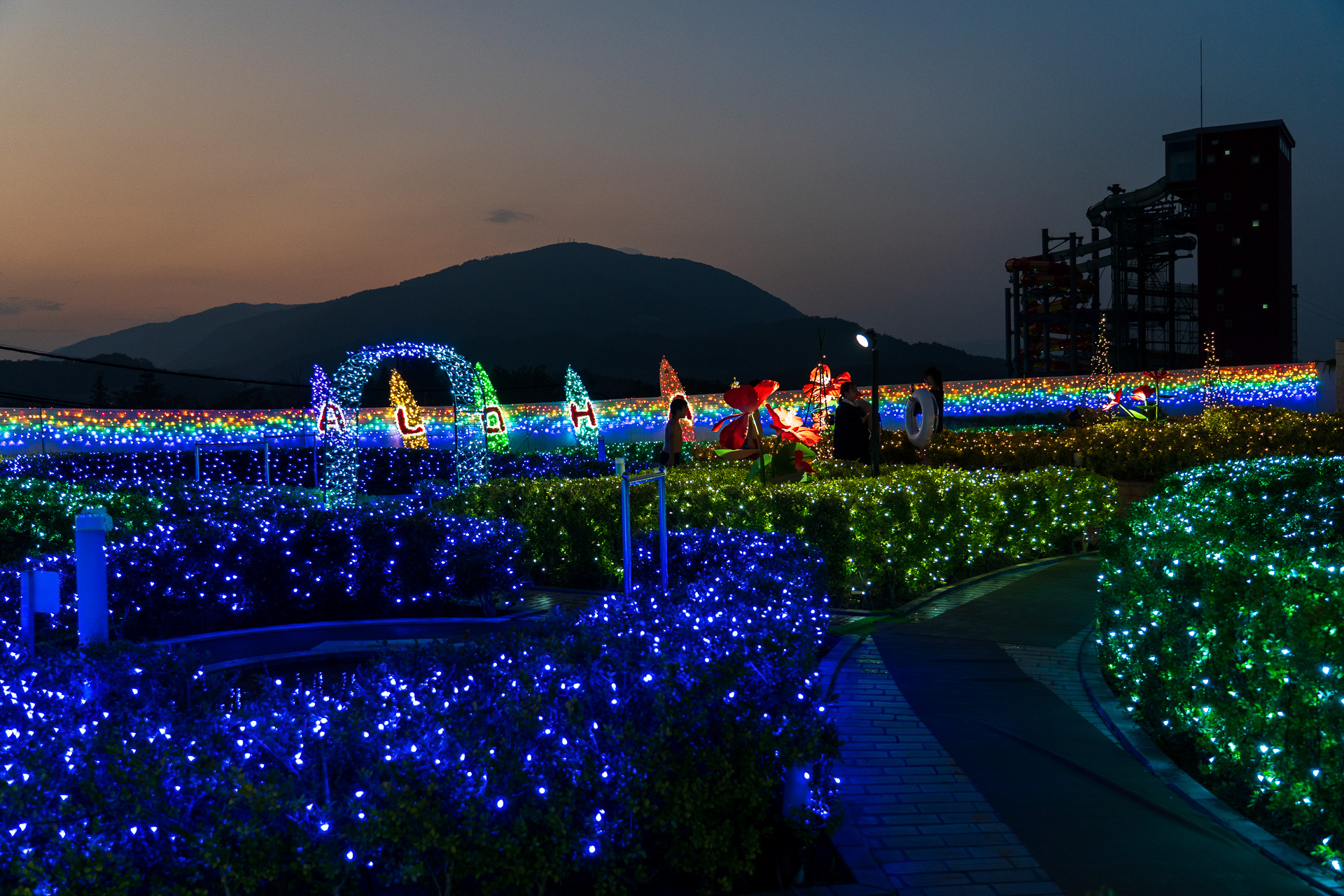 期間限定のナイトイルミネーション。夕焼け空とライトアップが美しい薄暮の時間帯がお勧め