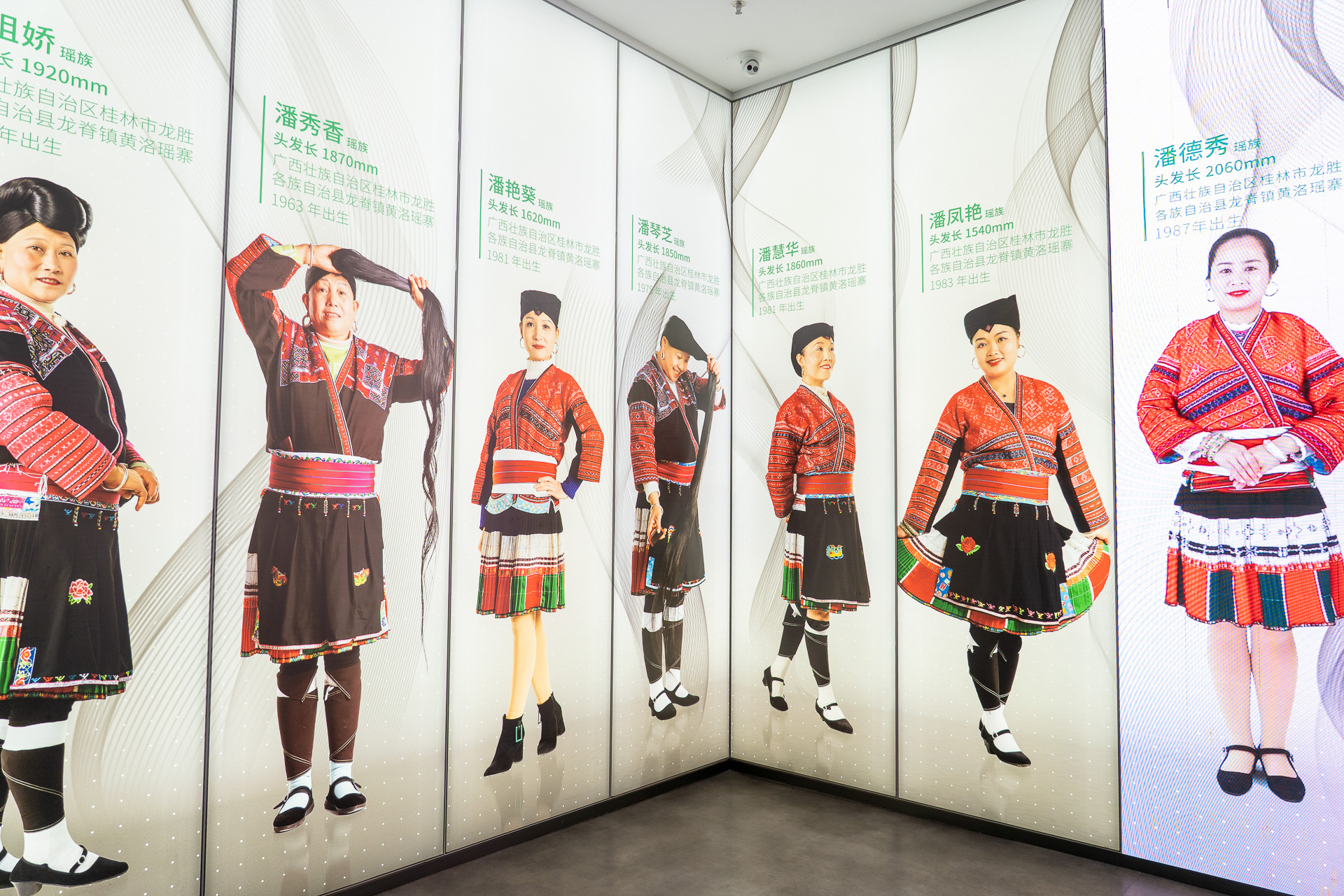 館内の展示パネルには、美髪を誇る紅ヤオ族の女性たちがズラリ。髪の長さが「1870mm」「2060mm」って、なんと2m超えの方も！