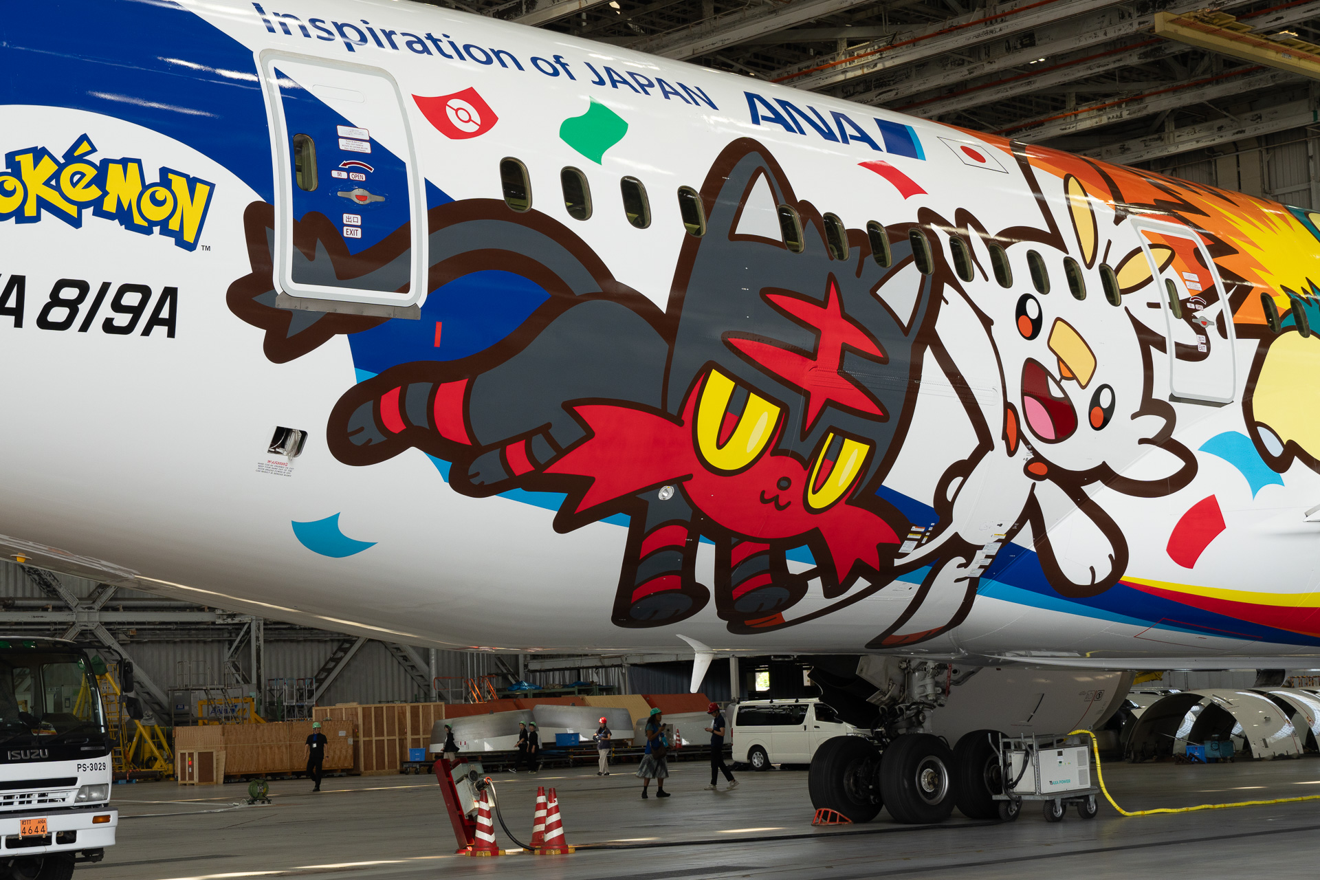 The prominent blue line on the right side is a color scheme reminiscent of ANA's brand identity.