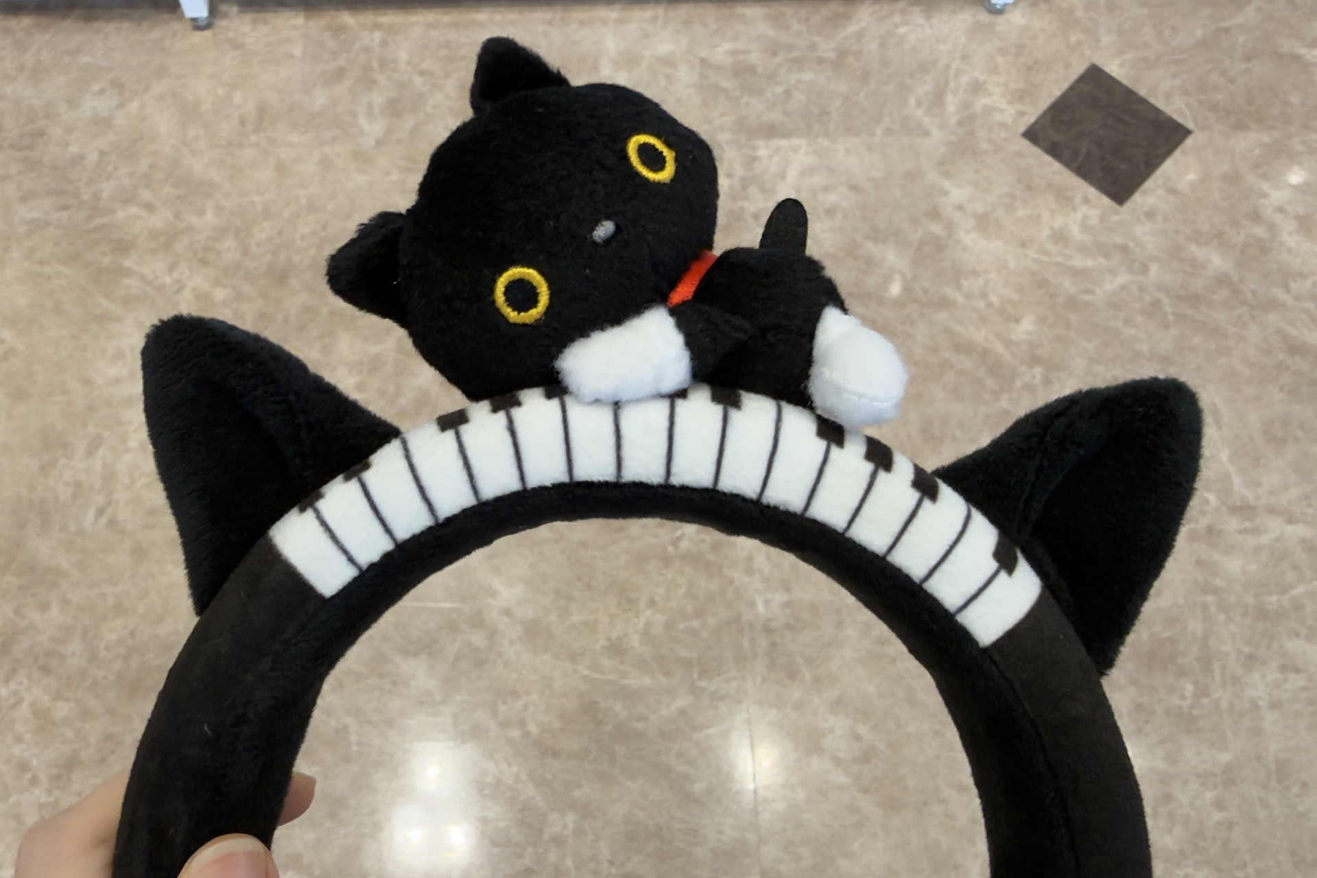 靴下にゃんこ