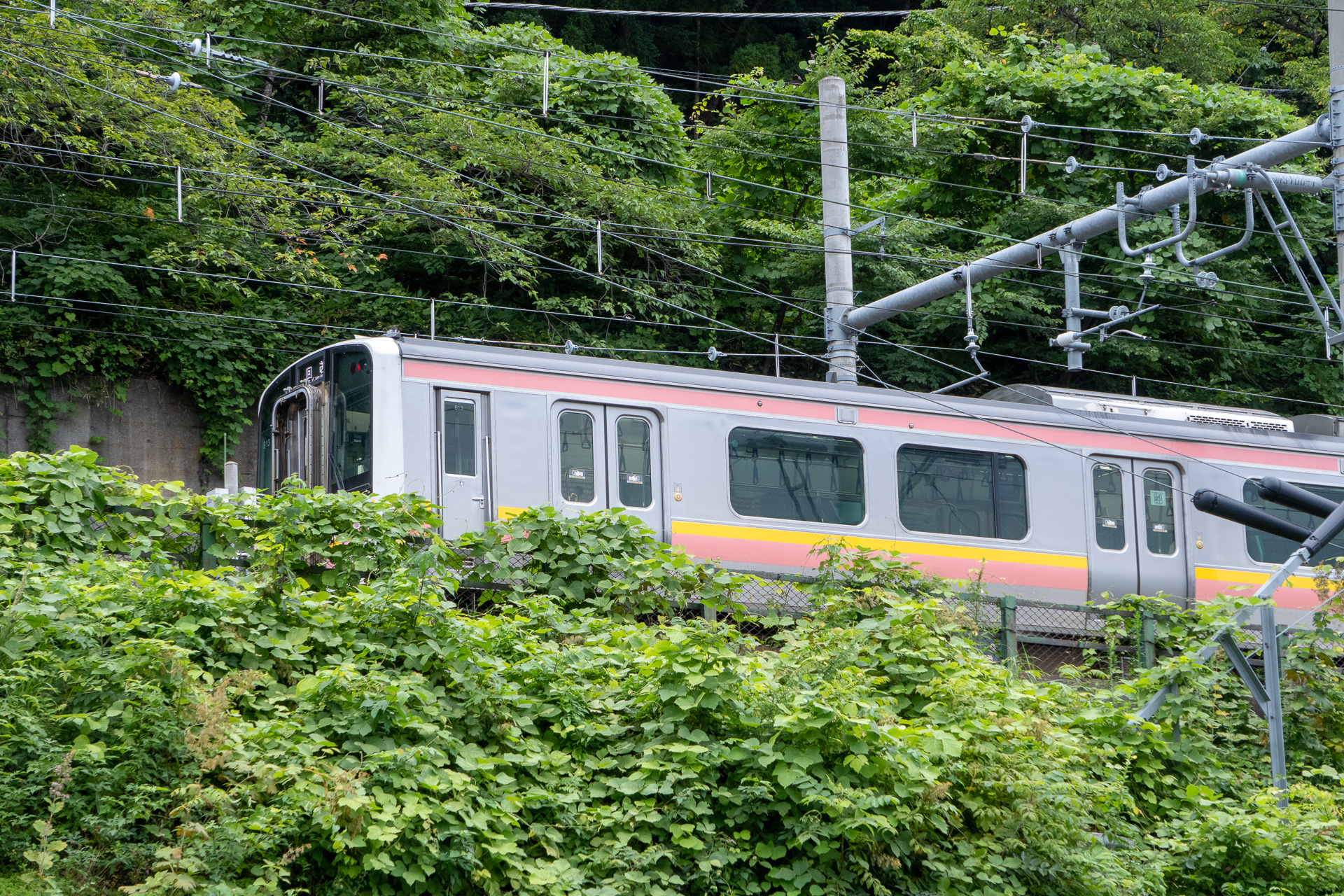 利根川沿いを走るJR上越線