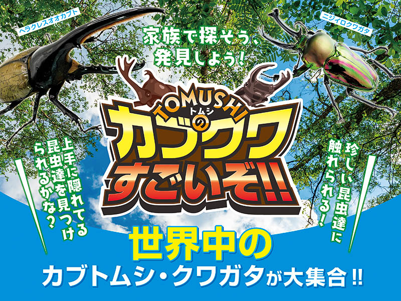 ふかや花園では珍しい昆虫と触れ合えるイベント「TOMUSHIのカブクワすごいぞ!!」（8月30日まで開催）