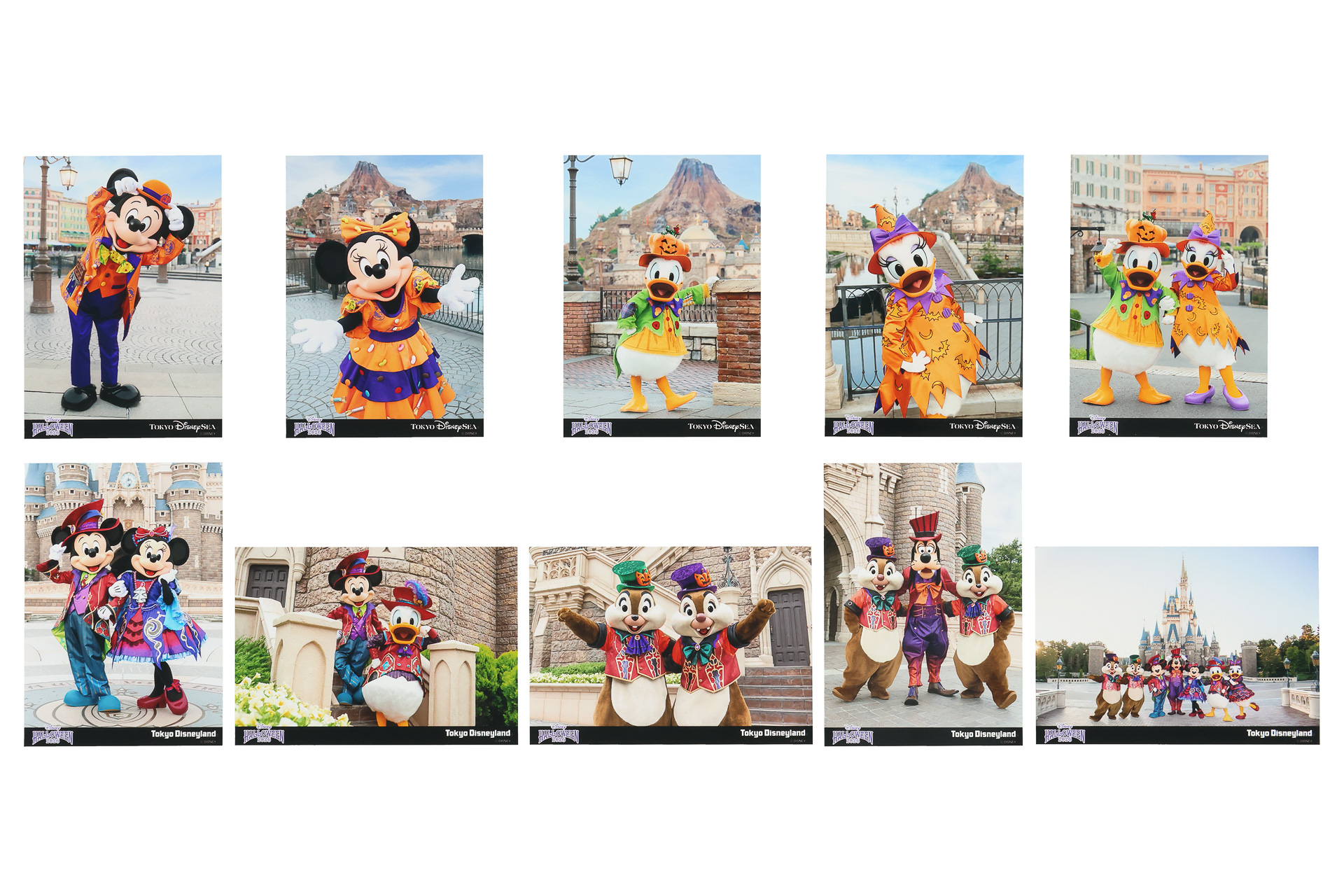 写真セット（3200円）
