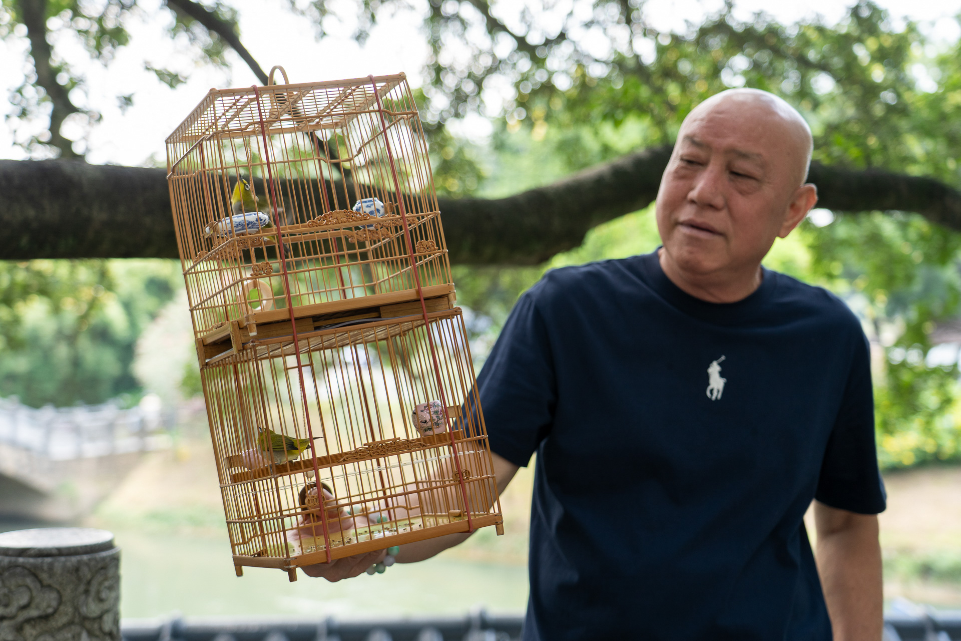 一見怖そうに見えますが、鳥を見つめる眼差しが素敵だったおじさま