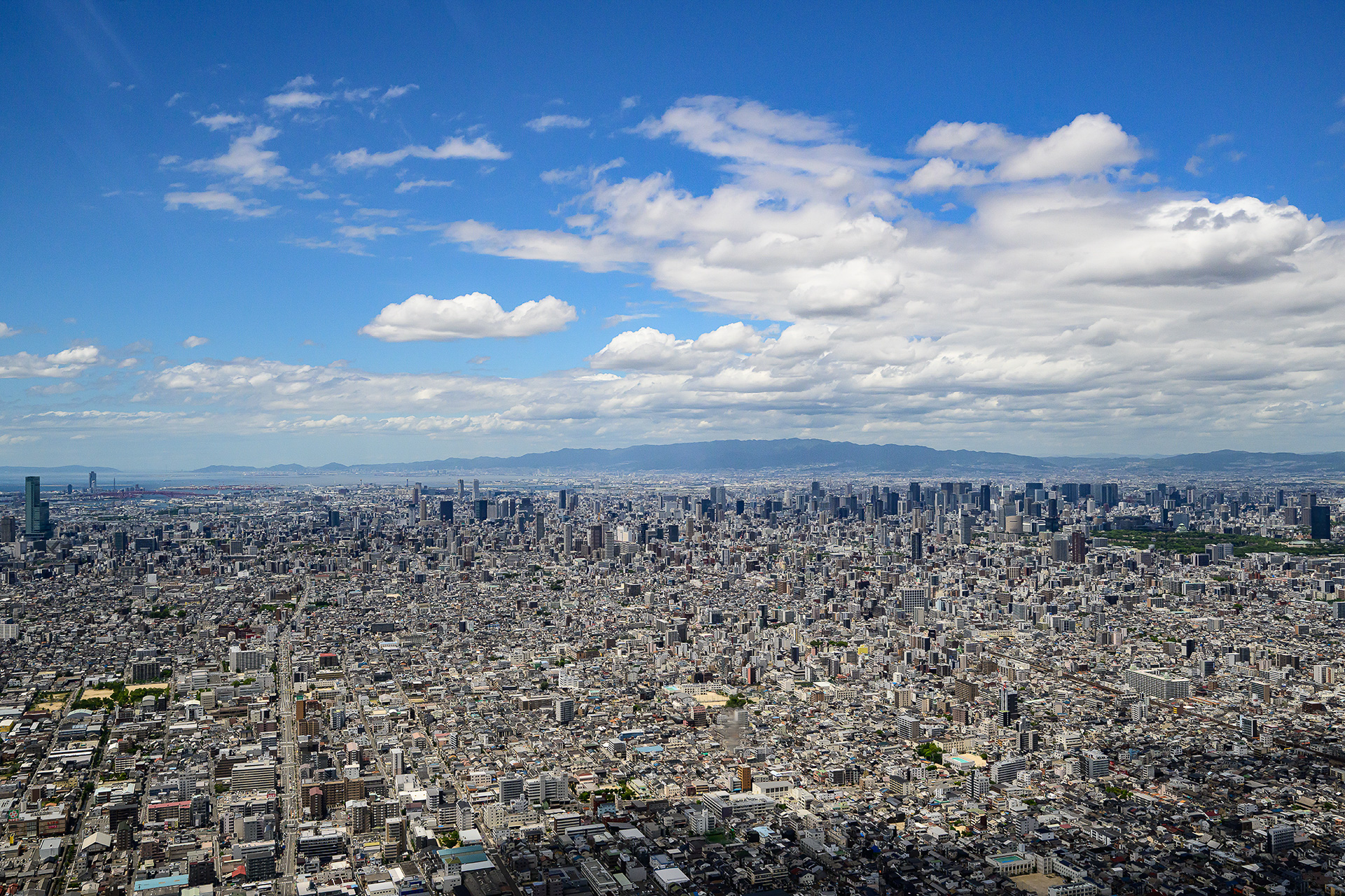 上空から望む大阪市街