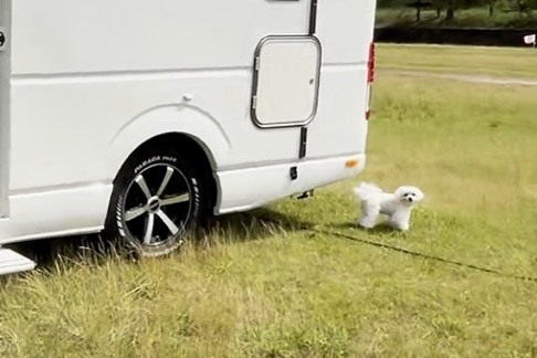 愛犬と一緒の旅でも、慣れ親しんだ愛車とプライベート空間で滞在できる（ホテル館内は同伴不可）