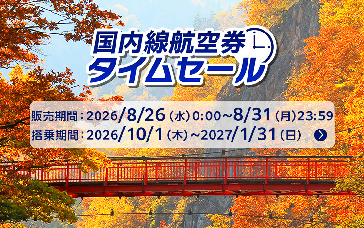 ANAが国内線航空券のタイムセールを実施