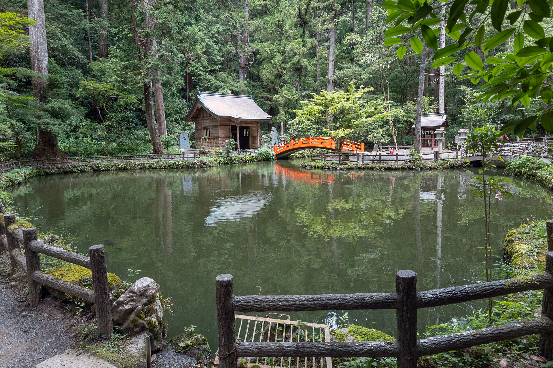 大きな木に覆われた参道の途中には、このような池もあった