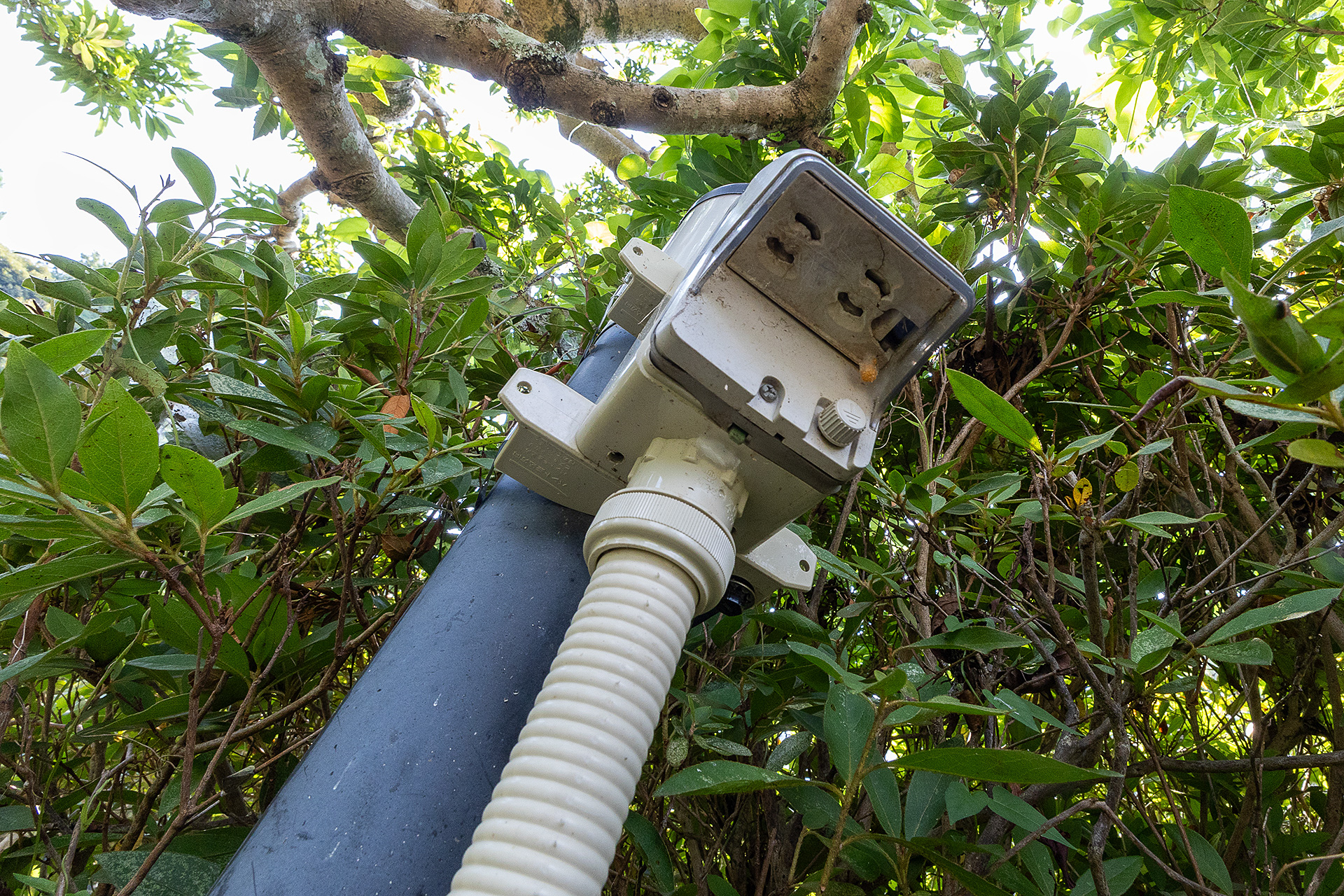 コンセントは2口。アースのないタイプを使用している