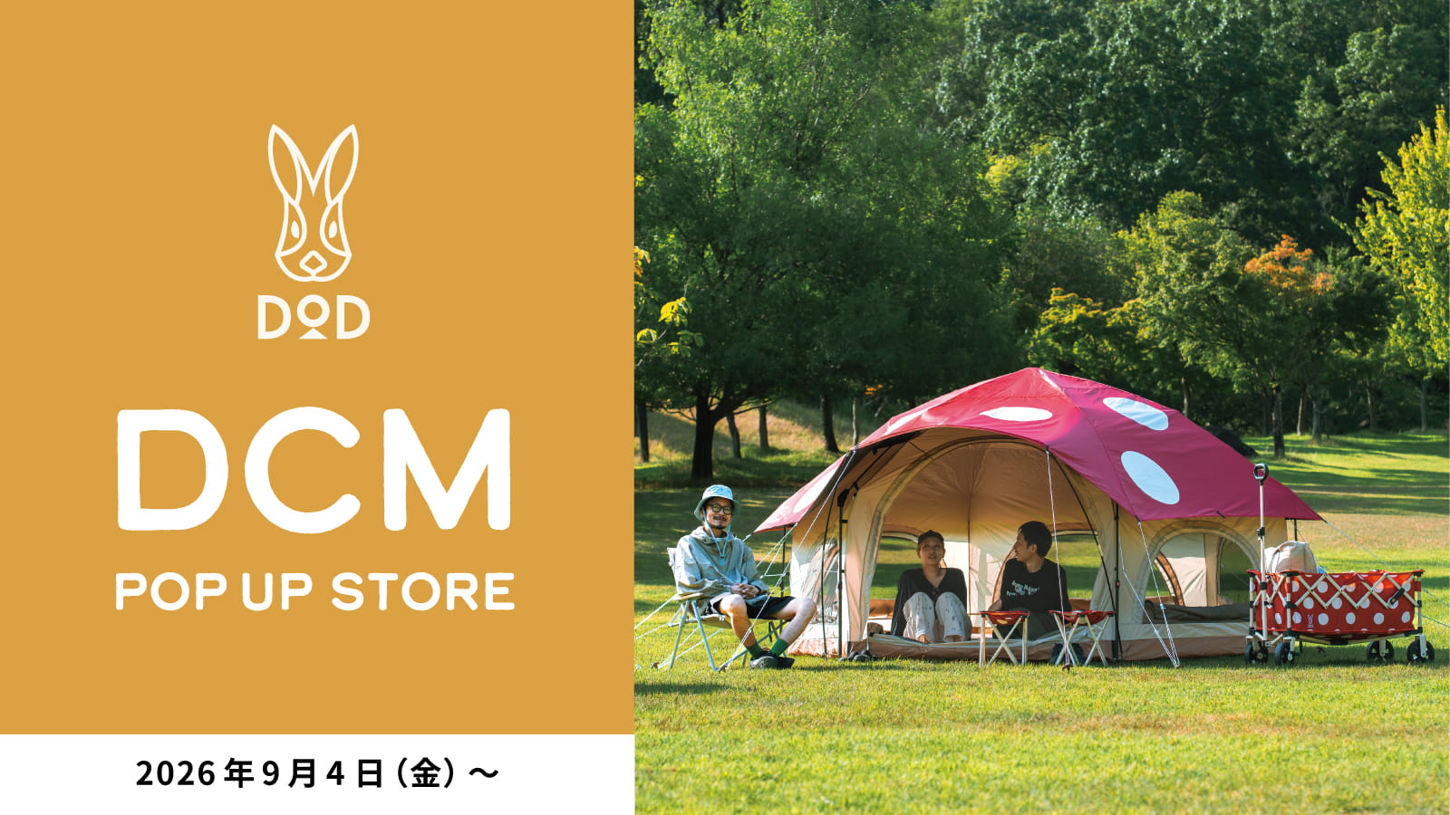 全国のDCM23店舗で「キノコシリーズ」のポップアップ開催（9月4日～）