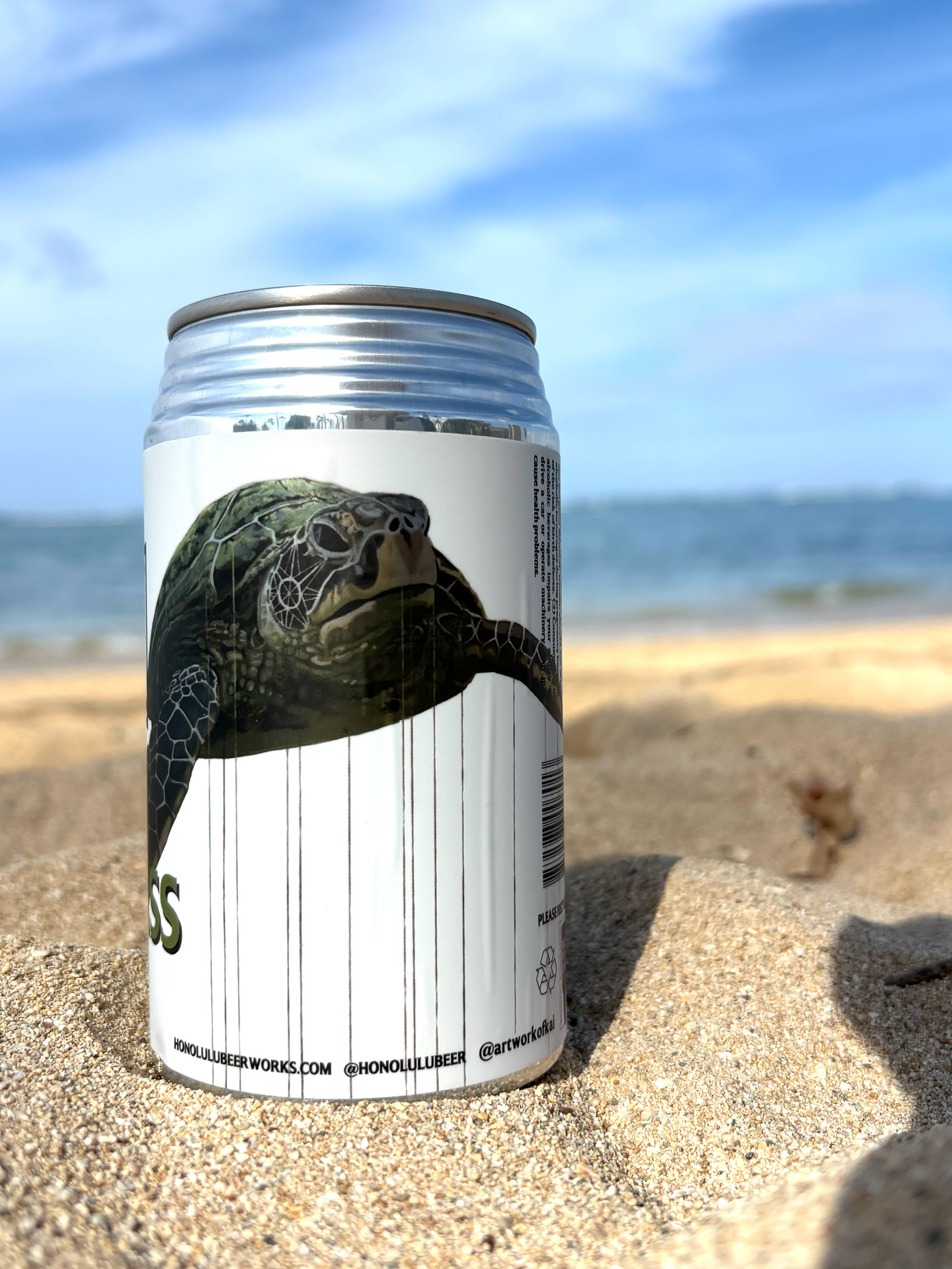 ハワイの海の守り神、ホヌ（アオウミガメ）が描かれている