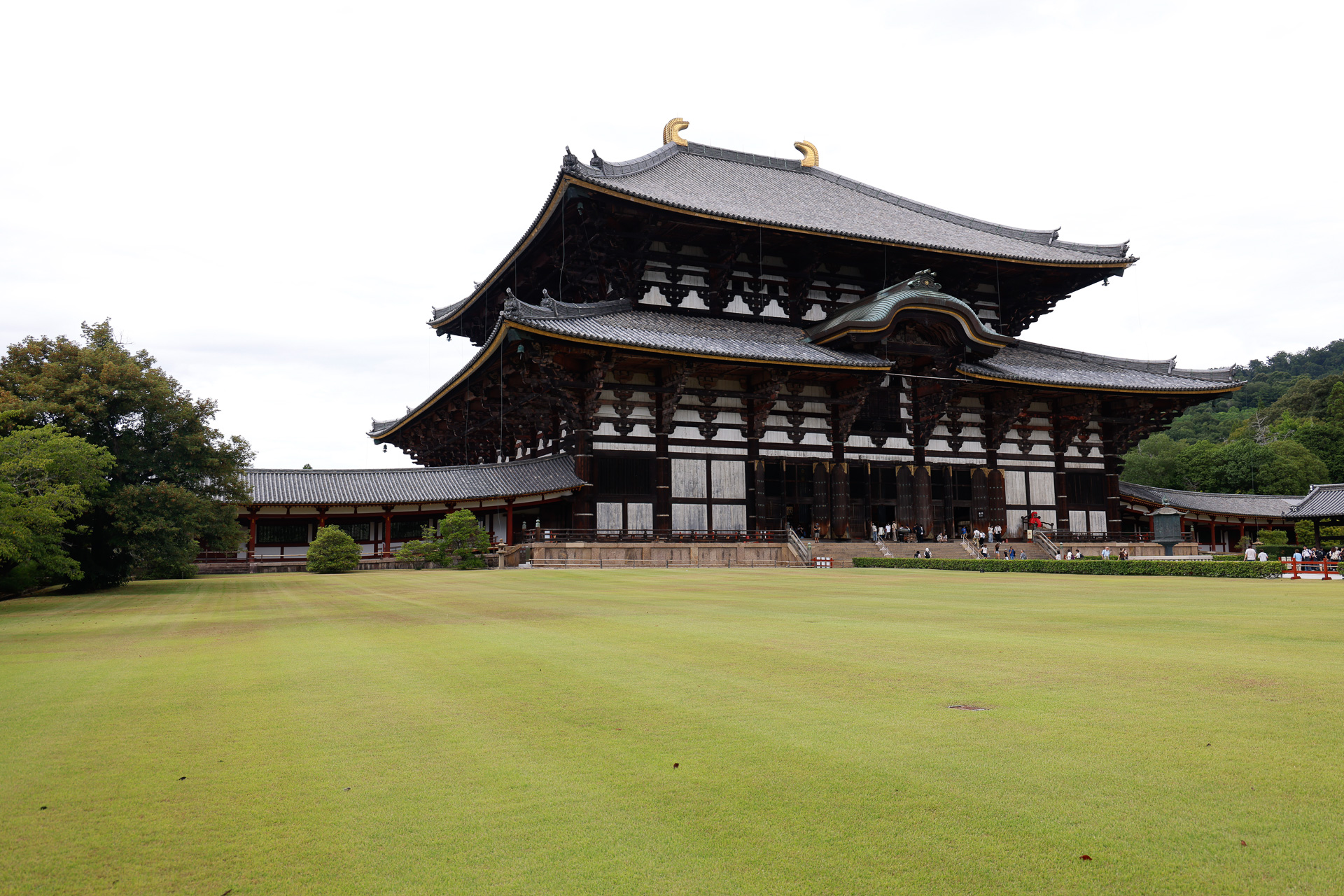 東大寺が「いざいざ奈良」キャンペーンのCMに登場するのは、第1弾キャンペーン以来
