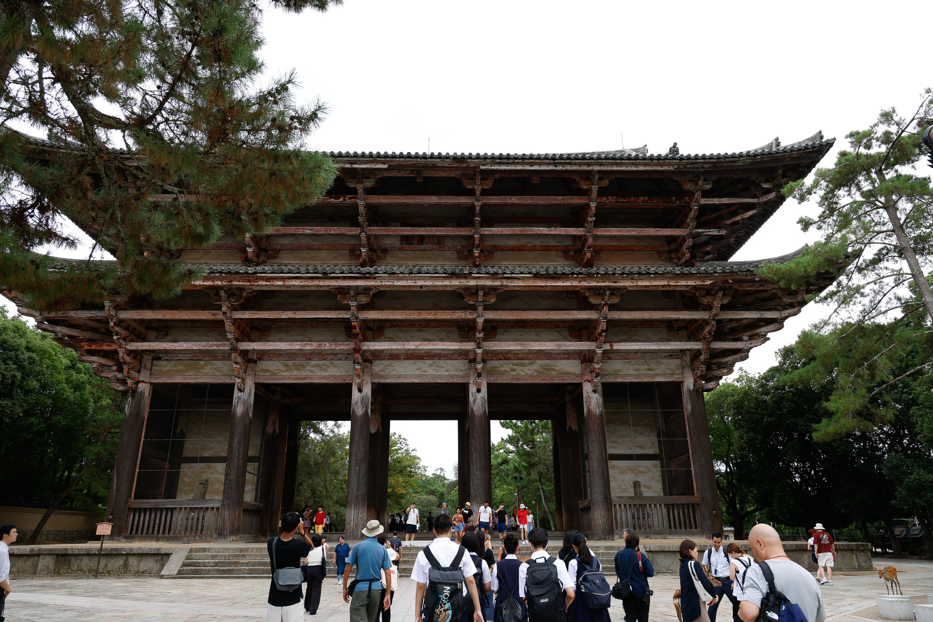 CMロケ地の1つ、東大寺南大門。ここに隣接する位置（写真でいうと右手）に東大寺ミュージアムがある。ミュージアムの開設は2011年で、現在は15周年を記念した特別展示を開催中だ