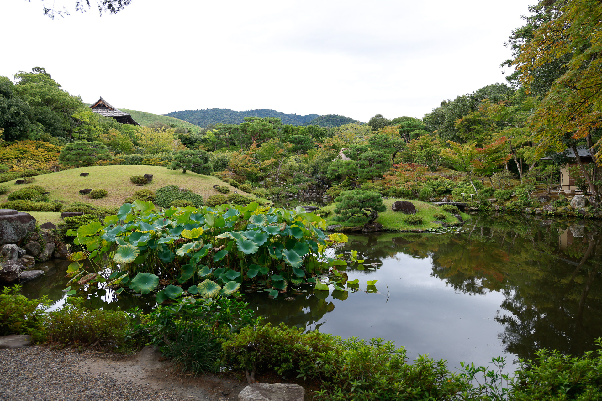「後園」では、敷地の東方にある若草山、春日山、東大寺南大門の屋根といった借景も取り込む設計になっているのが、この庭園のポイント