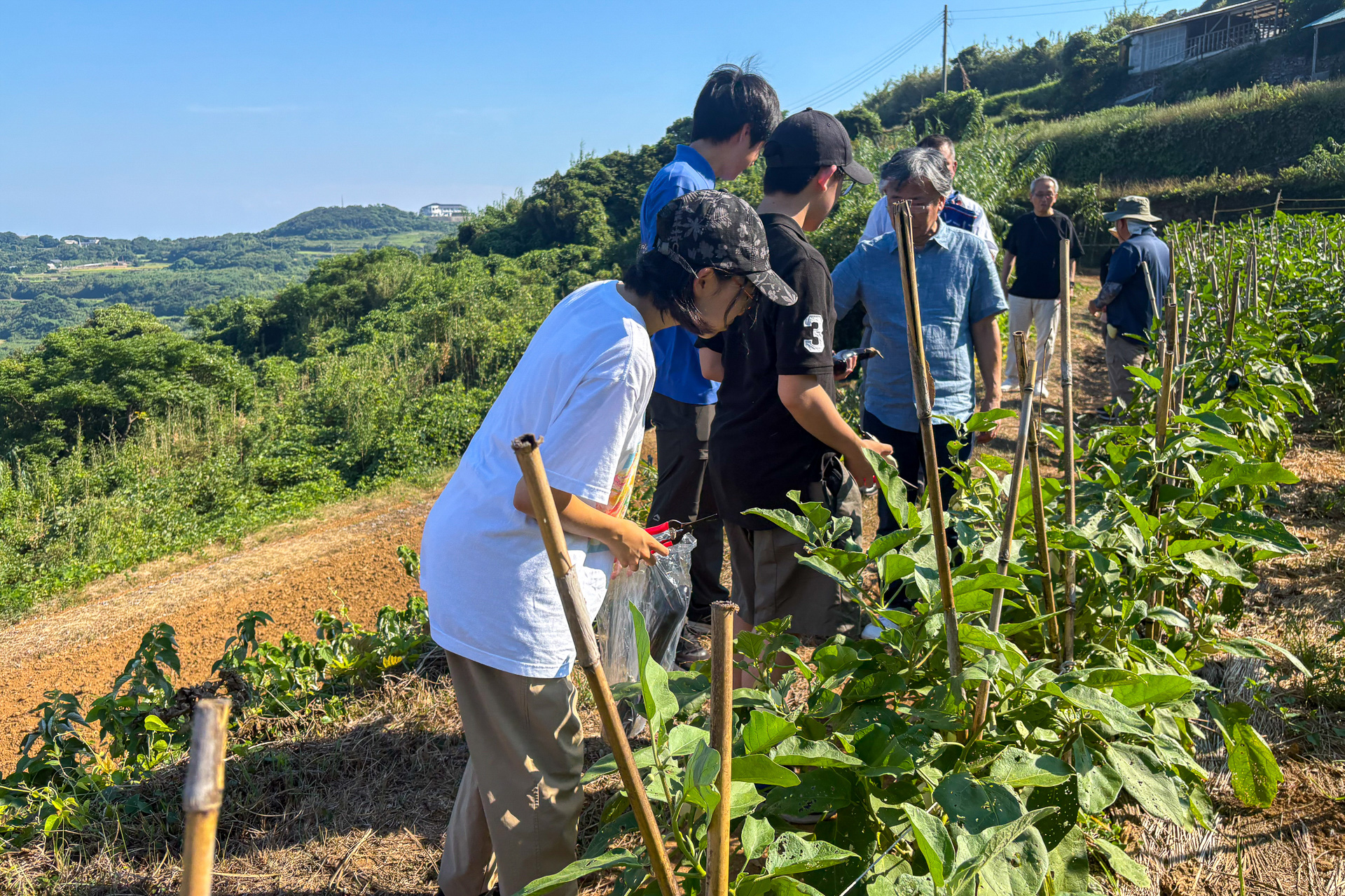 かぼちゃやオクラなど野菜の収穫体験も