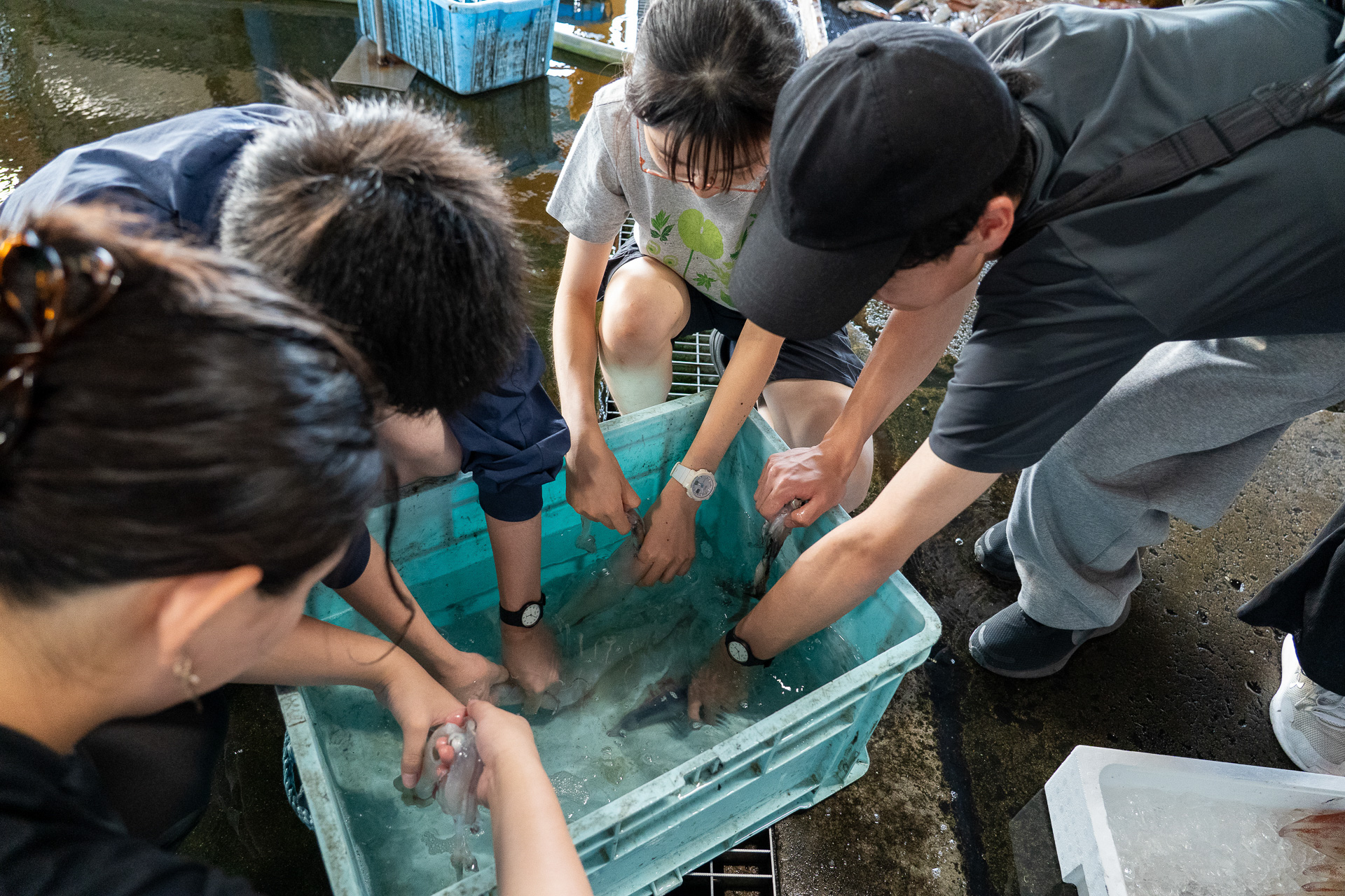 「え、軟骨ってどれ!?」「墨袋つぶしちゃった」。人生初体験の子がほとんどだった様子