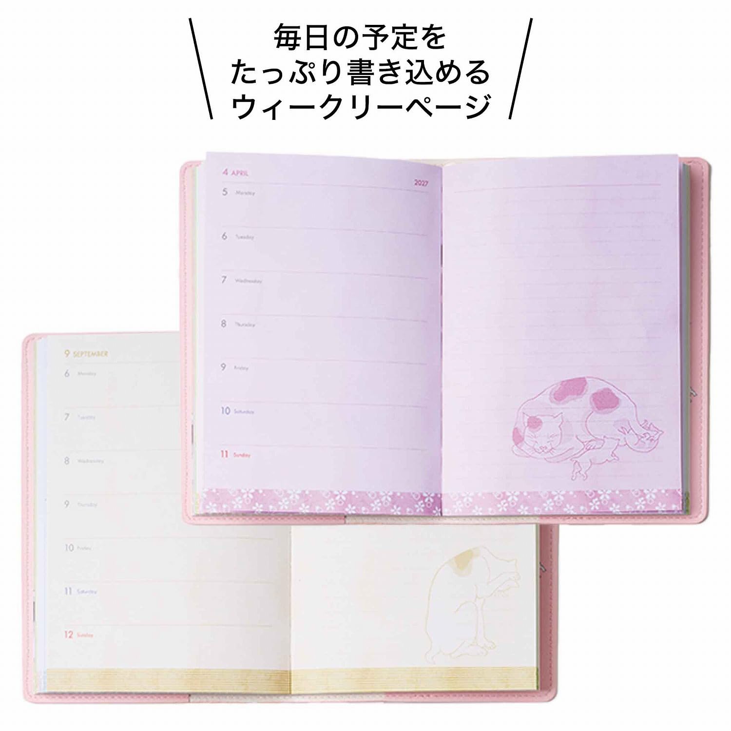 たとえば8月は「大磯（おおいそ→おもいぞ）」で、大きなたこをくわえて必死に引っ張る猫の絵。12月は「草津（くさつ→こたつ）」で、こたつの上で丸くなって眠っている猫の絵