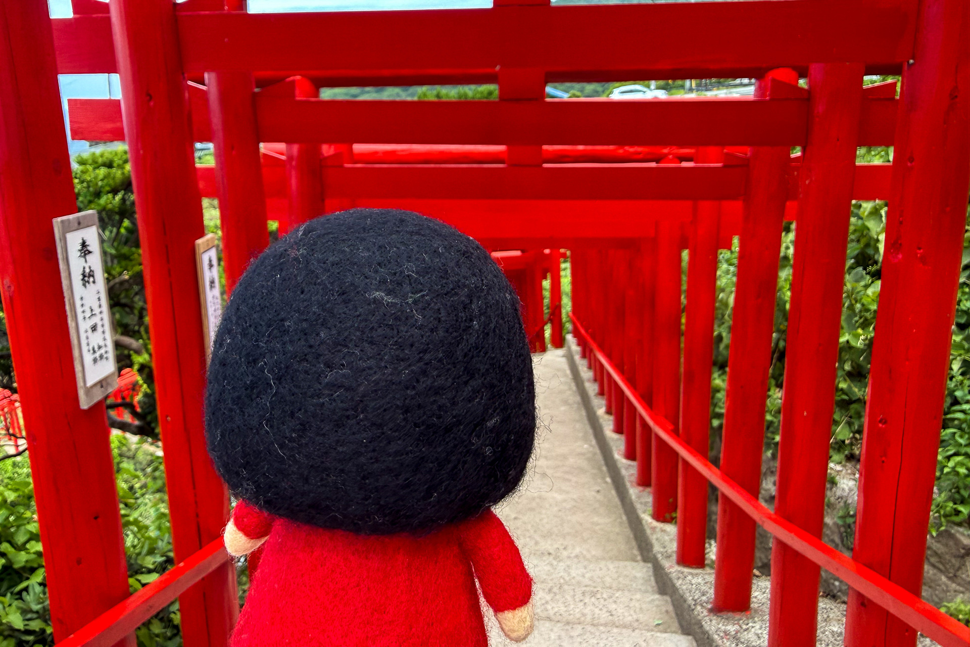 鳥居をくぐりながら降りてみます