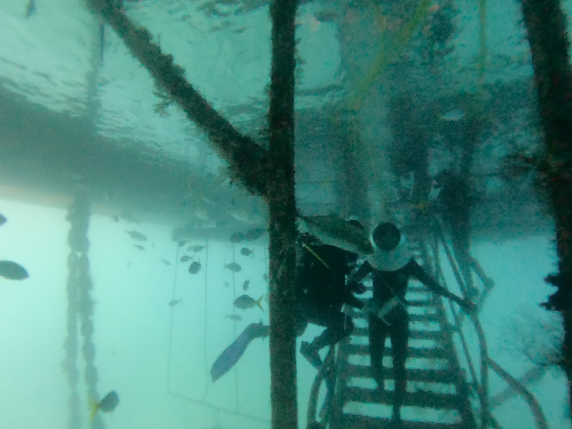 ヘルメットを装着して階段を降りて海中へ進んでいく。ヘルメットの後部につながっているホースから空気が送られる