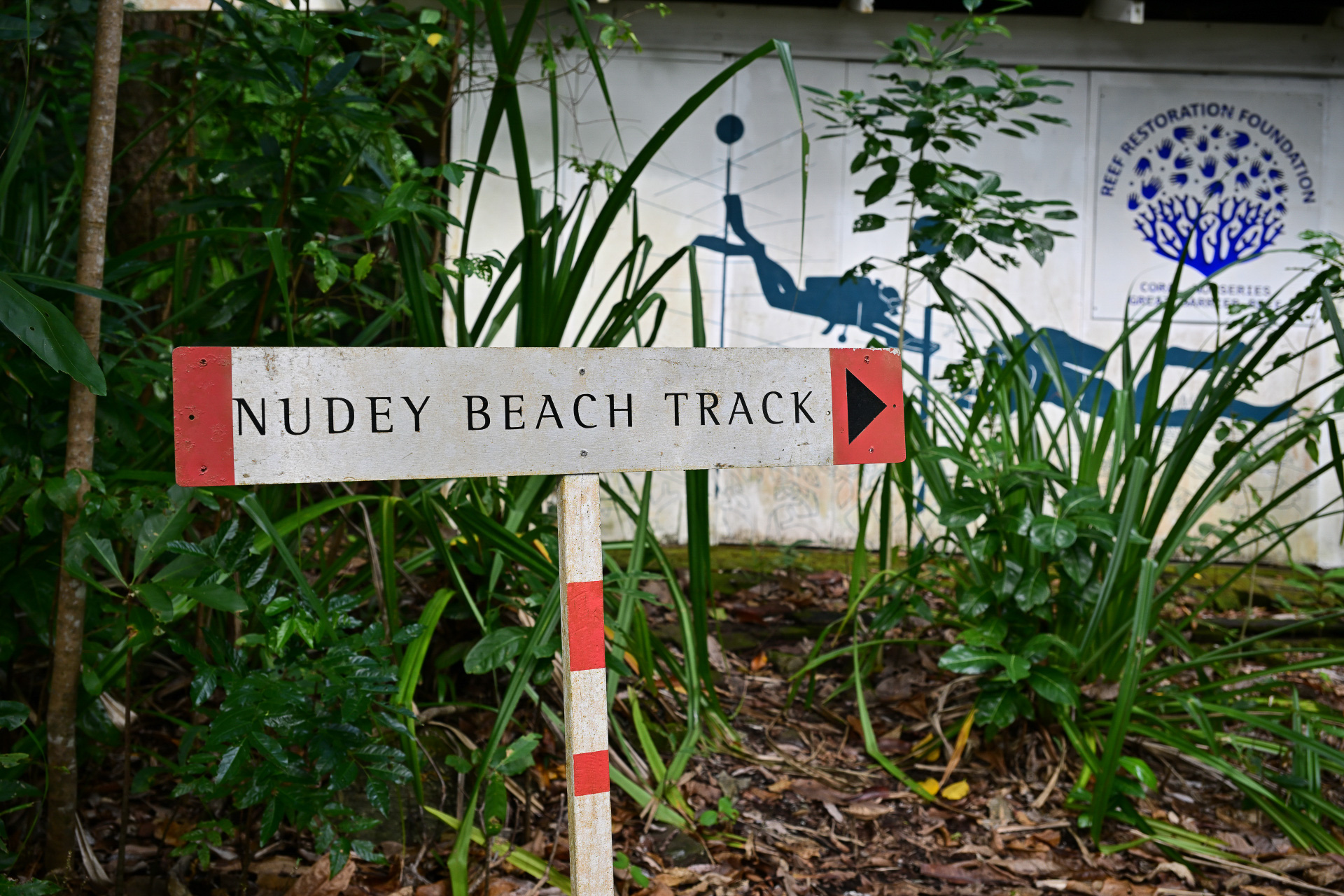 Nudey Beach Trackの入口。ここから森のなかを歩いてビーチへ向かう