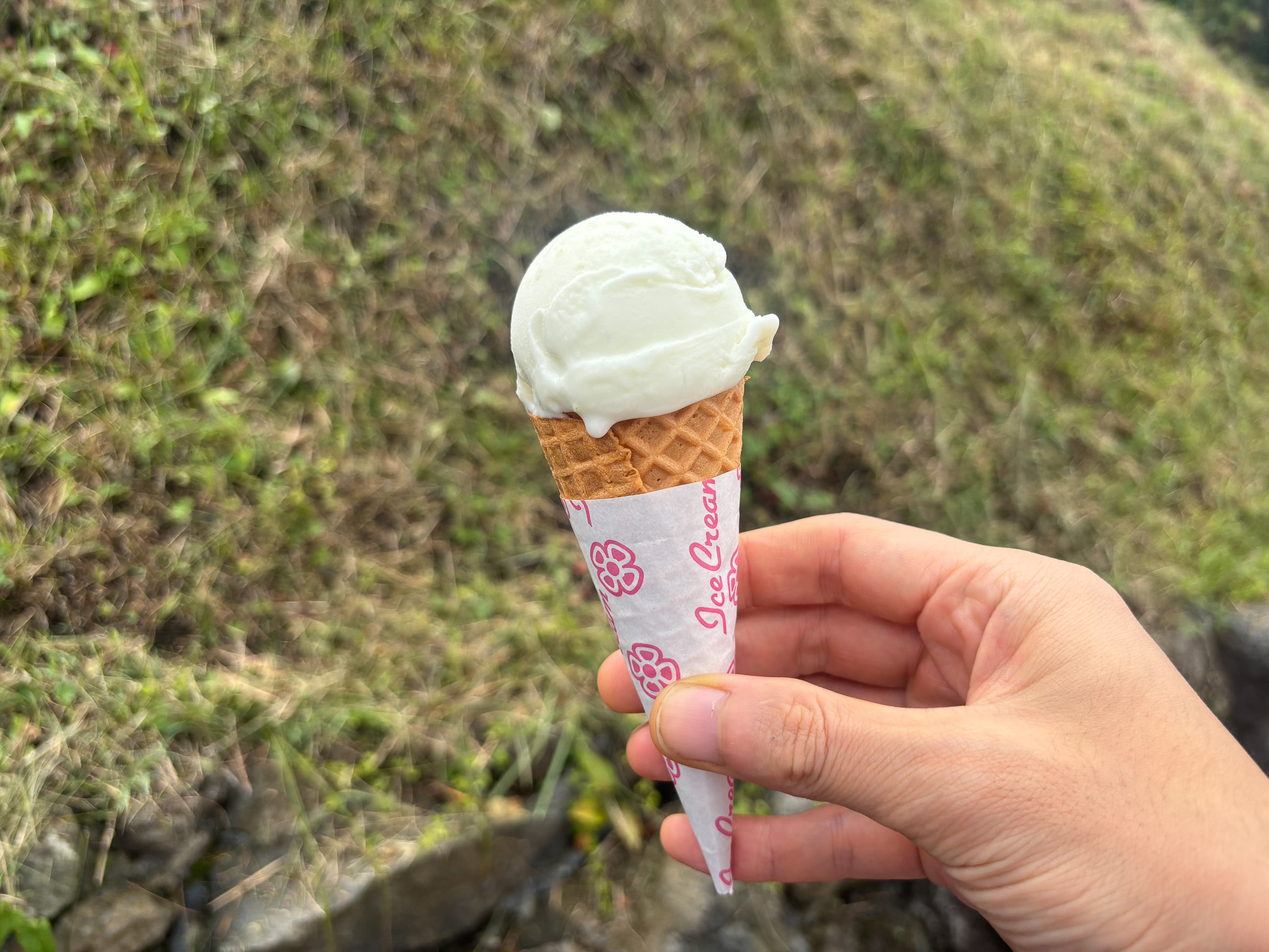 わさびアイスクリーム