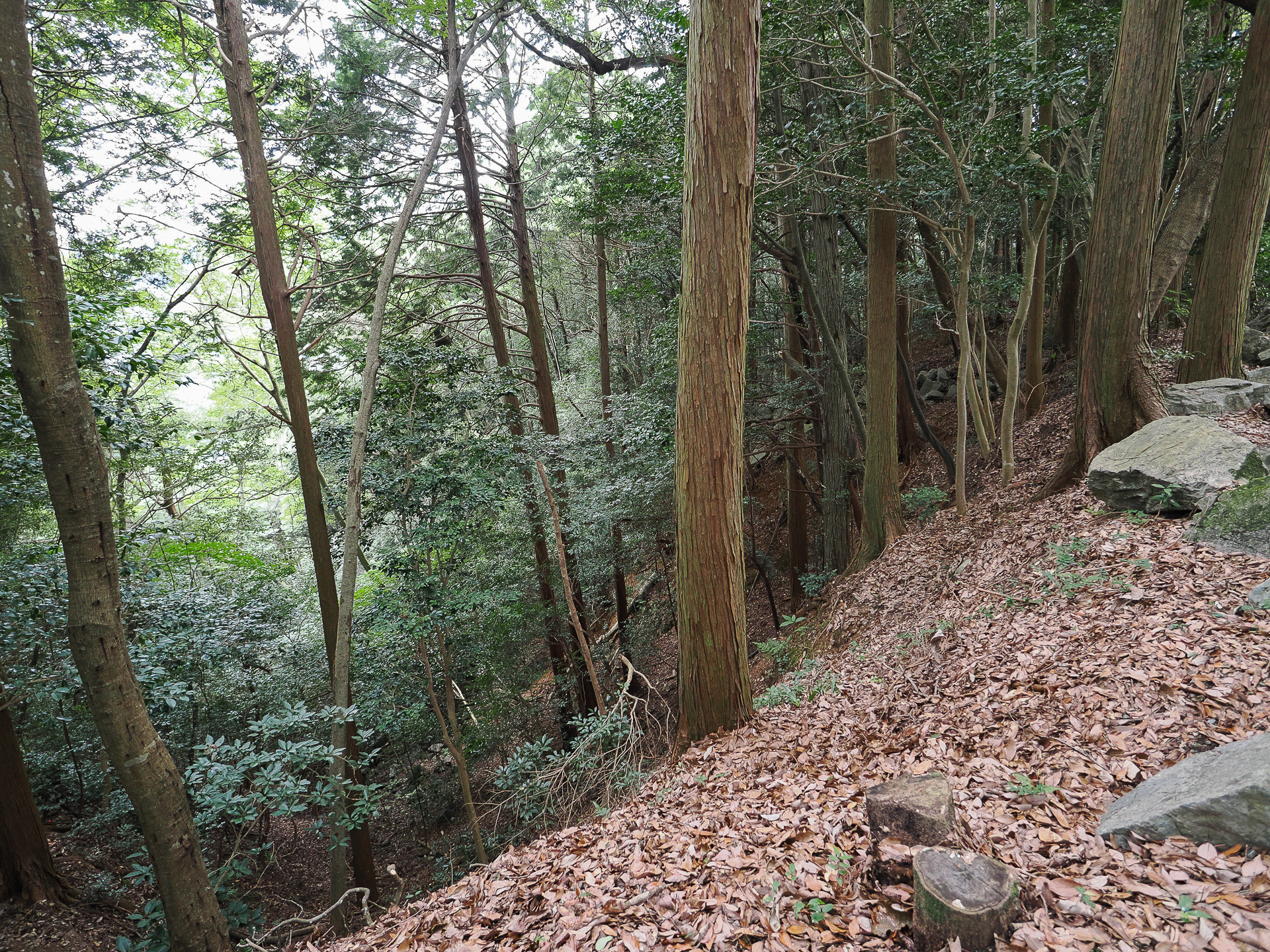 空堀の跡。侵入を防ぐために深く掘られている