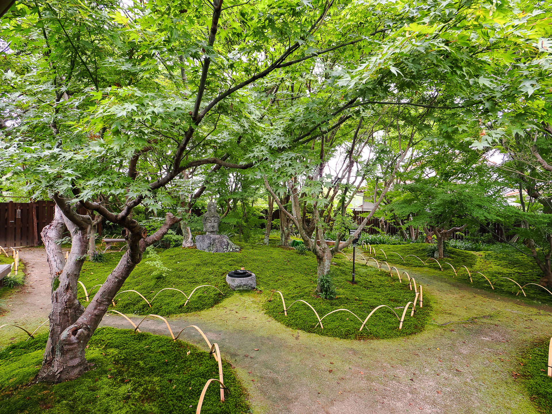 庭には植物が多い。秋に紅葉が始まると一段とよさそうだ
