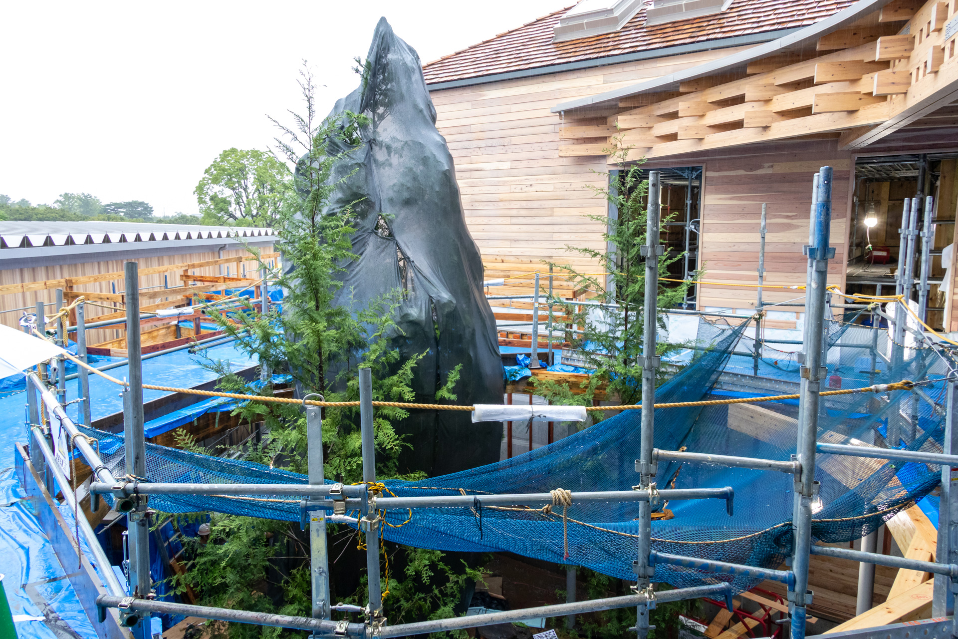 建物中央には森をイメージした木を3本植えた