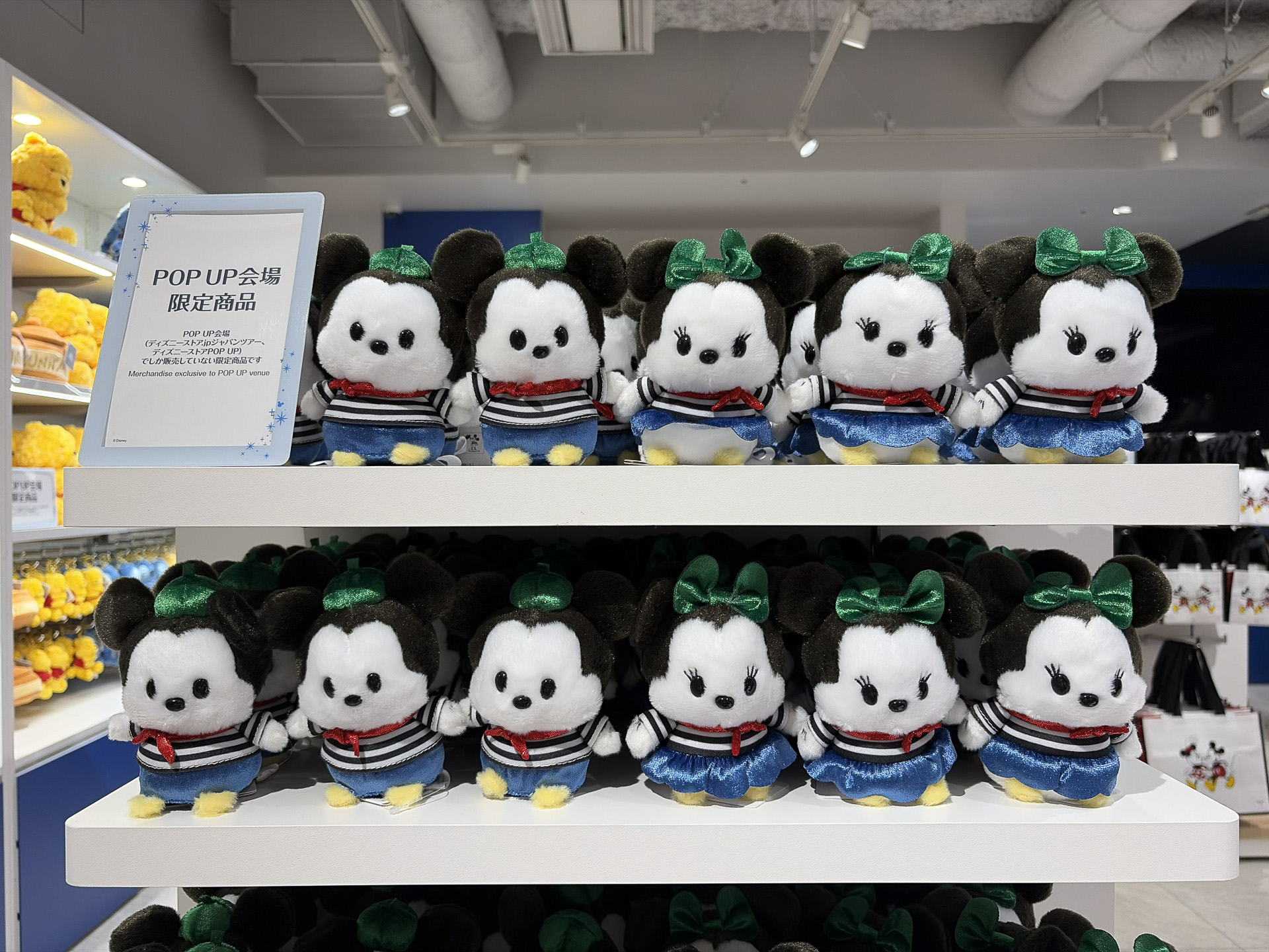 POP UP会場限定のうるぽちゃちゃん ぬいぐるみ
