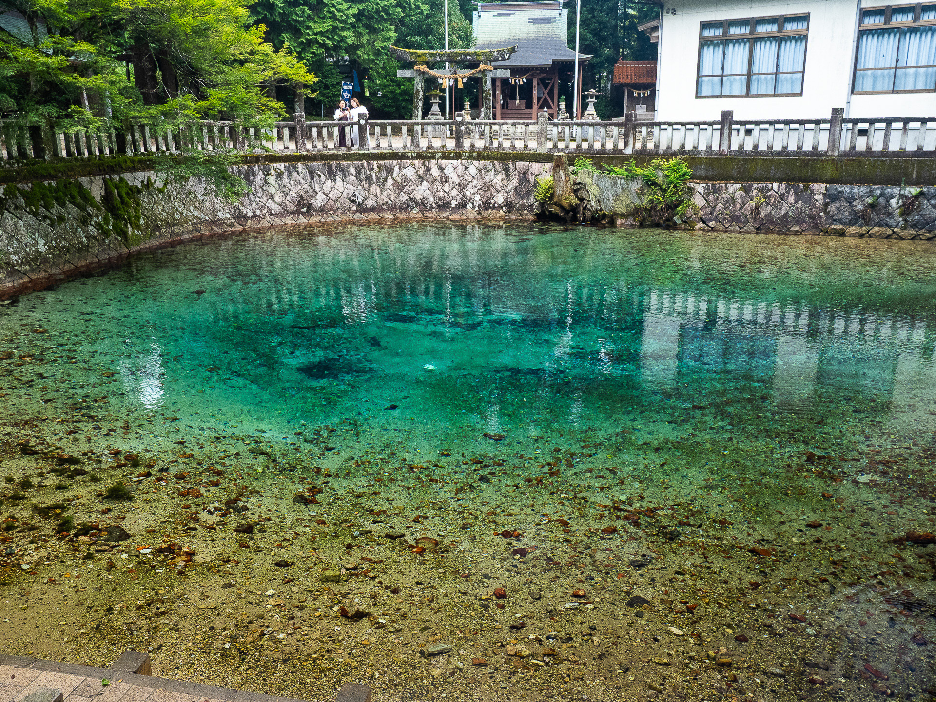 エメラルドグリーンの美しい水源、別府弁天池