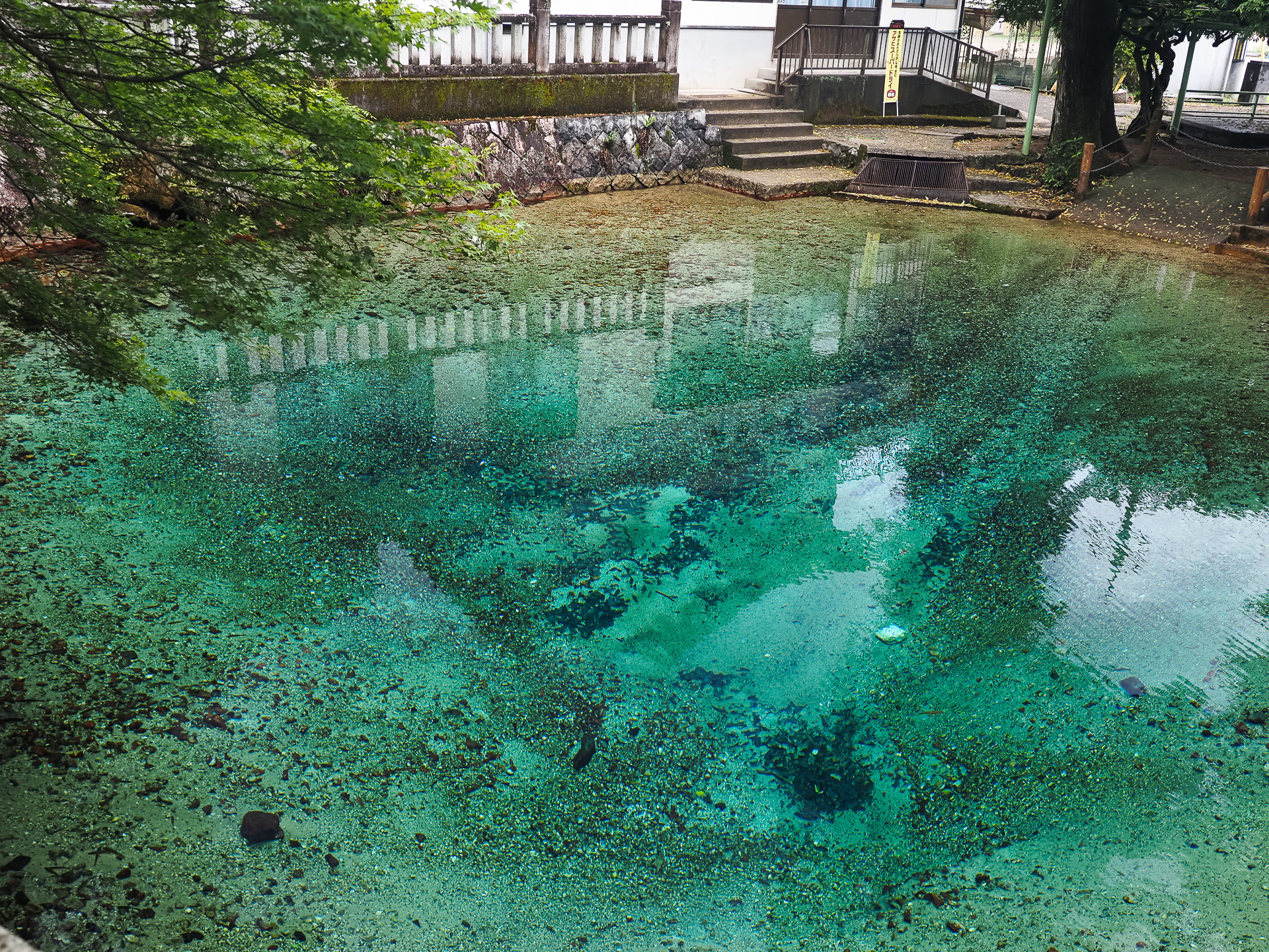 池の中央部が深いエメラルドグリーンに見える